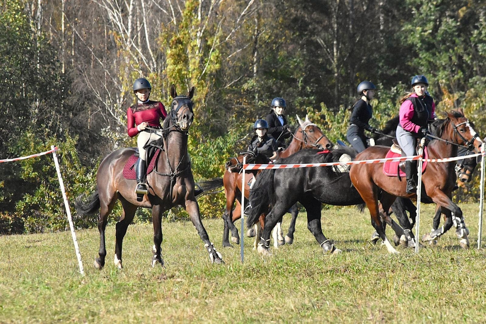 Zdjęcie w galerii na portalu naszwodzislaw.com: Hubertus w Krostoszowicach przyciągnął wielu jeźdźców i widzów. Martyna i Karolina dopadły lisiej kity [FOTO] wiadomości z regionu