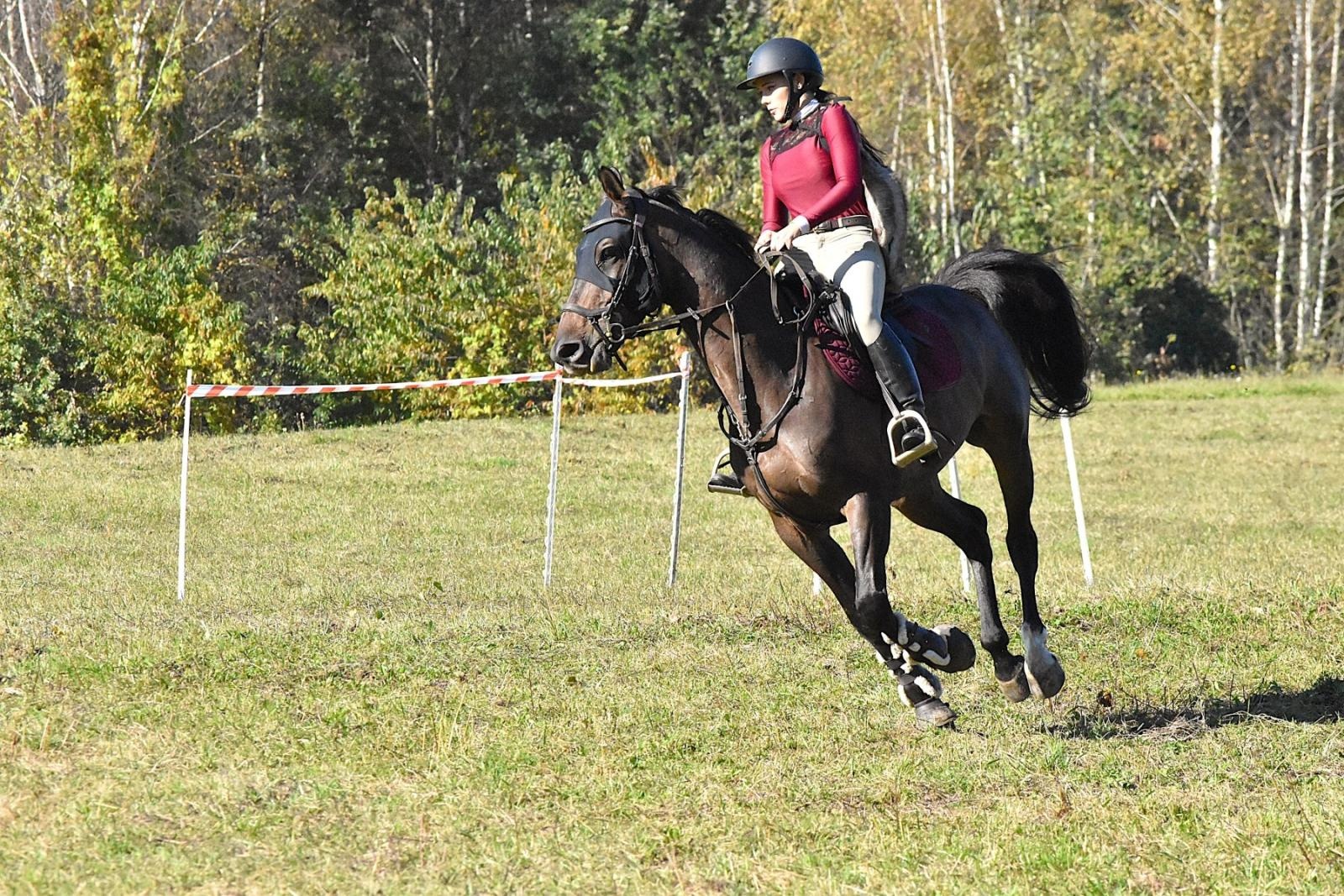 Zdjęcie w galerii na portalu naszwodzislaw.com: Hubertus w Krostoszowicach przyciągnął wielu jeźdźców i widzów. Martyna i Karolina dopadły lisiej kity [FOTO] wiadomości z regionu