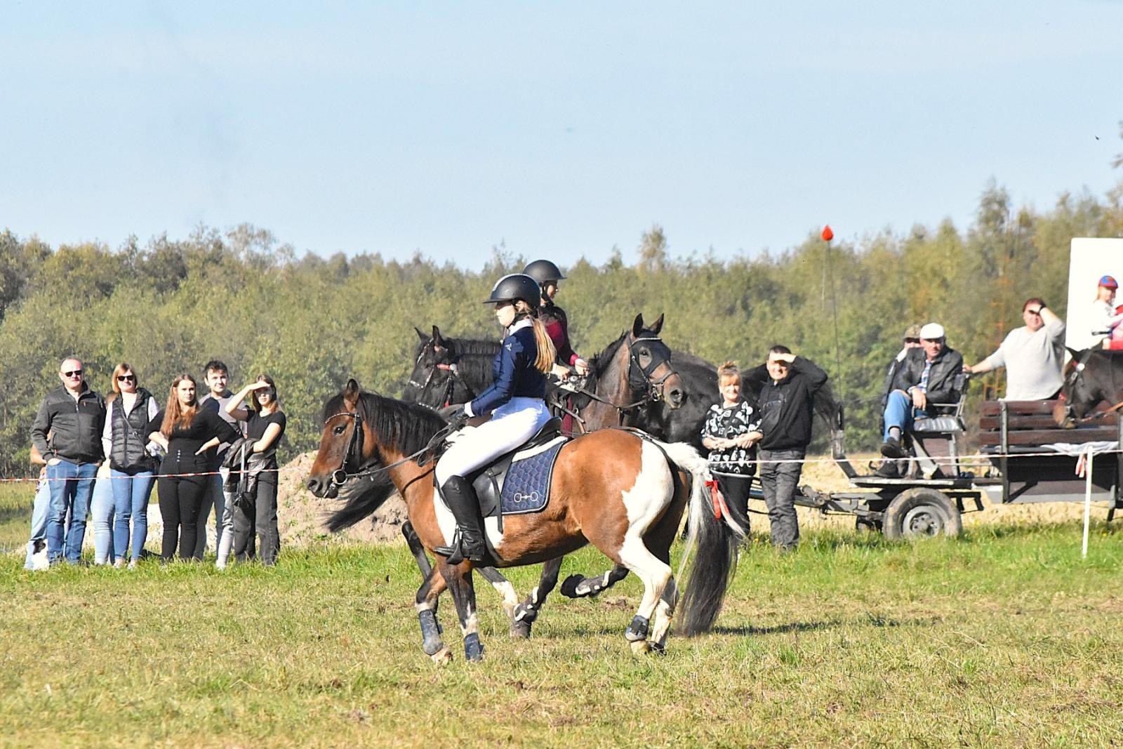 Zdjęcie w galerii na portalu naszwodzislaw.com: Hubertus w Krostoszowicach przyciągnął wielu jeźdźców i widzów. Martyna i Karolina dopadły lisiej kity [FOTO] wiadomości z regionu