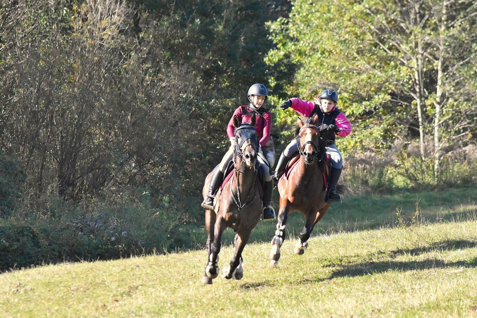 Zdjęcie w galerii na portalu naszwodzislaw.com: Hubertus w Krostoszowicach przyciągnął wielu jeźdźców i widzów. Martyna i Karolina dopadły lisiej kity [FOTO] wiadomości z regionu