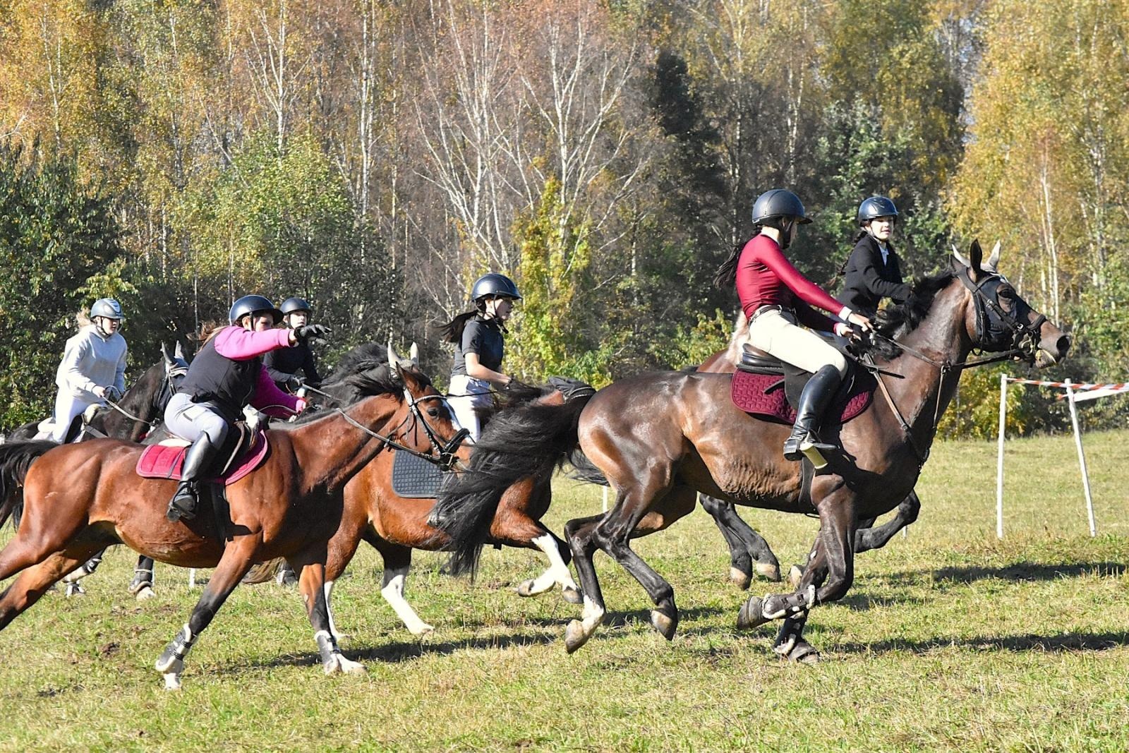 Zdjęcie w galerii na portalu naszwodzislaw.com: Hubertus w Krostoszowicach przyciągnął wielu jeźdźców i widzów. Martyna i Karolina dopadły lisiej kity [FOTO] wiadomości z regionu