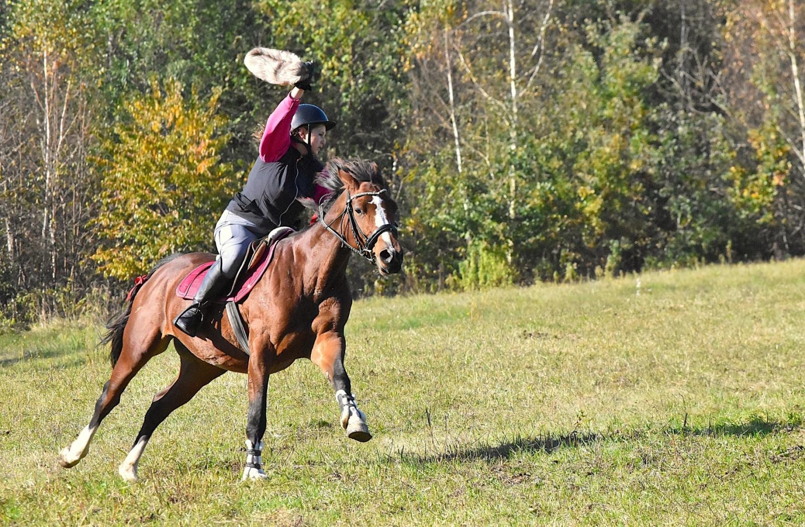 Zdjęcie w galerii na portalu naszwodzislaw.com: Hubertus w Krostoszowicach przyciągnął wielu jeźdźców i widzów. Martyna i Karolina dopadły lisiej kity [FOTO] wiadomości z regionu