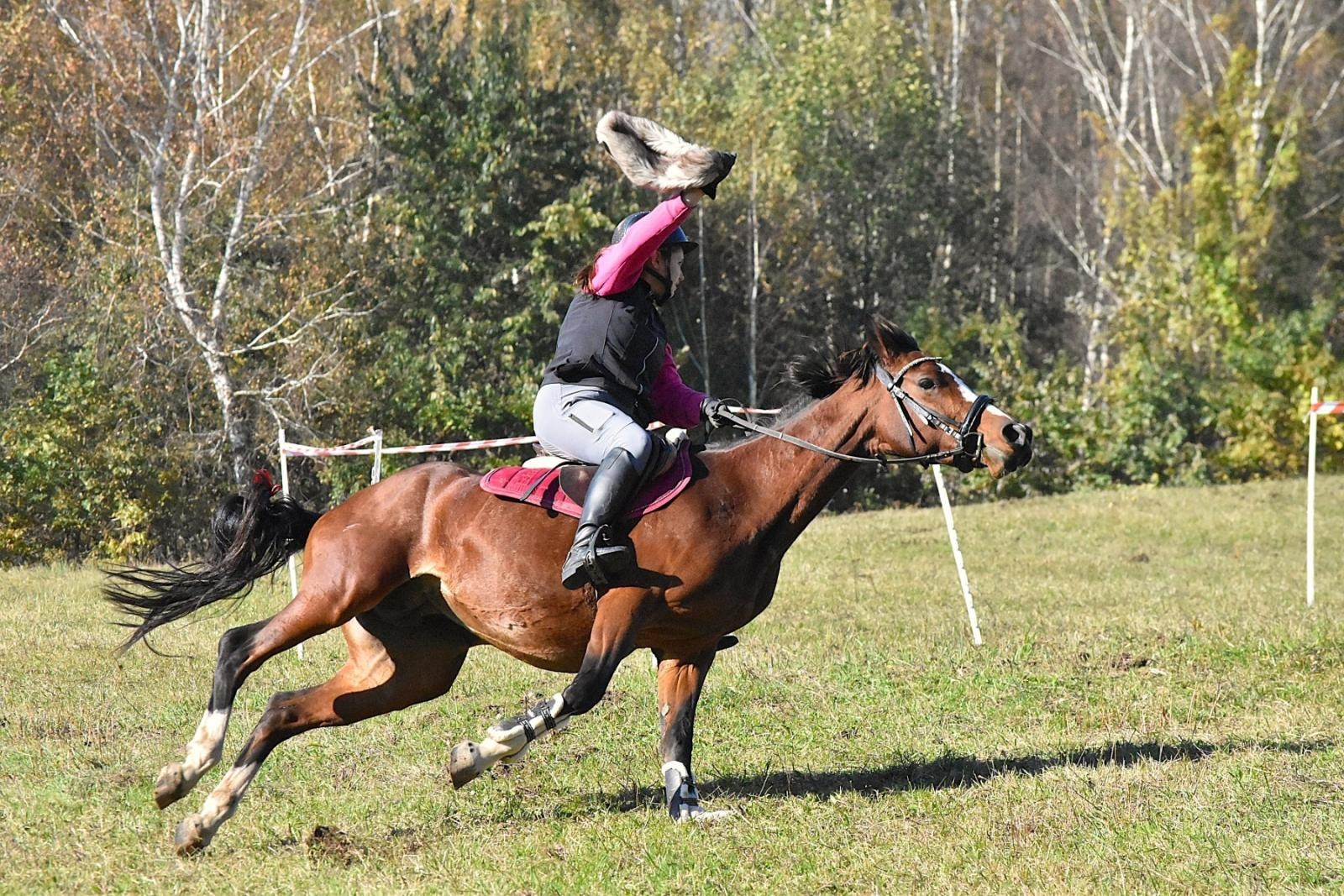 Zdjęcie w galerii na portalu naszwodzislaw.com: Hubertus w Krostoszowicach przyciągnął wielu jeźdźców i widzów. Martyna i Karolina dopadły lisiej kity [FOTO] wiadomości z regionu