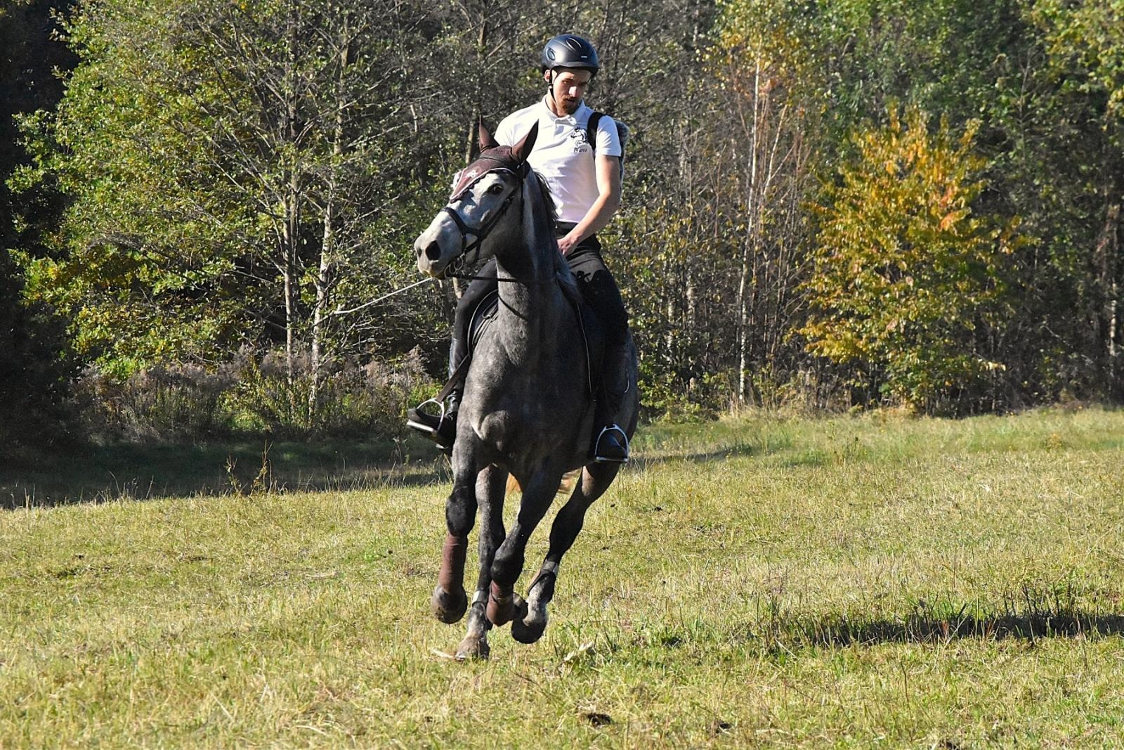 Zdjęcie w galerii na portalu naszwodzislaw.com: Hubertus w Krostoszowicach przyciągnął wielu jeźdźców i widzów. Martyna i Karolina dopadły lisiej kity [FOTO] wiadomości z regionu