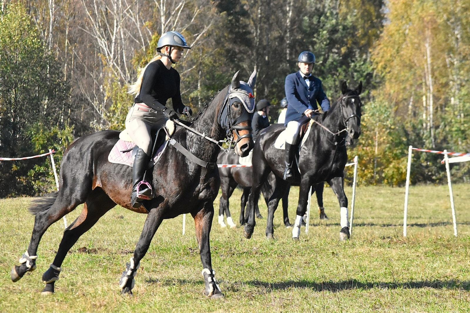 Zdjęcie w galerii na portalu naszwodzislaw.com: Hubertus w Krostoszowicach przyciągnął wielu jeźdźców i widzów. Martyna i Karolina dopadły lisiej kity [FOTO] wiadomości z regionu