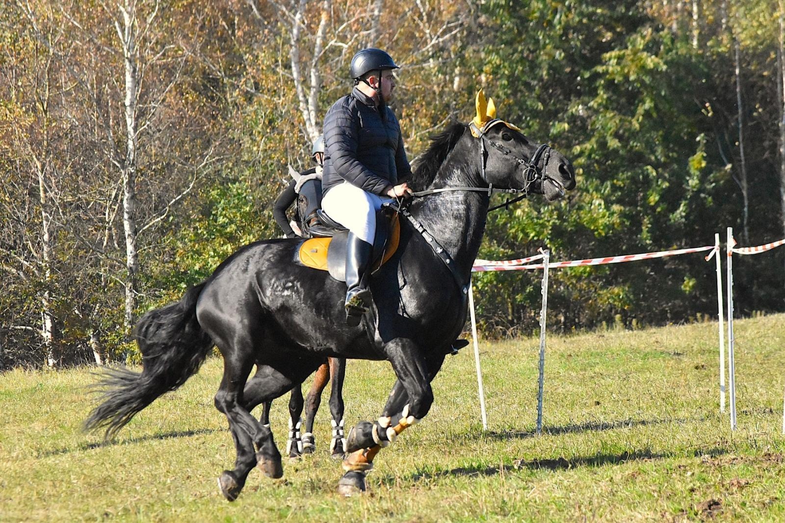 Zdjęcie w galerii na portalu naszwodzislaw.com: Hubertus w Krostoszowicach przyciągnął wielu jeźdźców i widzów. Martyna i Karolina dopadły lisiej kity [FOTO] wiadomości z regionu