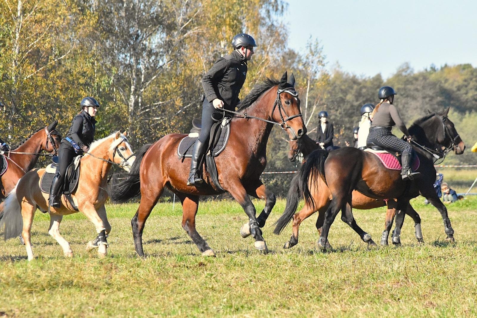 Zdjęcie w galerii na portalu naszwodzislaw.com: Hubertus w Krostoszowicach przyciągnął wielu jeźdźców i widzów. Martyna i Karolina dopadły lisiej kity [FOTO] wiadomości z regionu