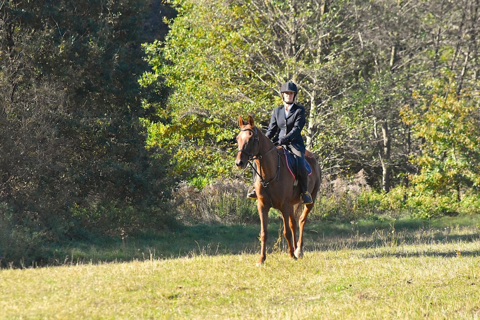 Zdjęcie w galerii na portalu naszwodzislaw.com: Hubertus w Krostoszowicach przyciągnął wielu jeźdźców i widzów. Martyna i Karolina dopadły lisiej kity [FOTO] wiadomości z regionu