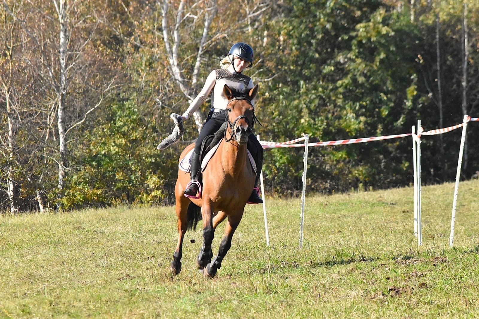 Zdjęcie w galerii na portalu naszwodzislaw.com: Hubertus w Krostoszowicach przyciągnął wielu jeźdźców i widzów. Martyna i Karolina dopadły lisiej kity [FOTO] wiadomości z regionu