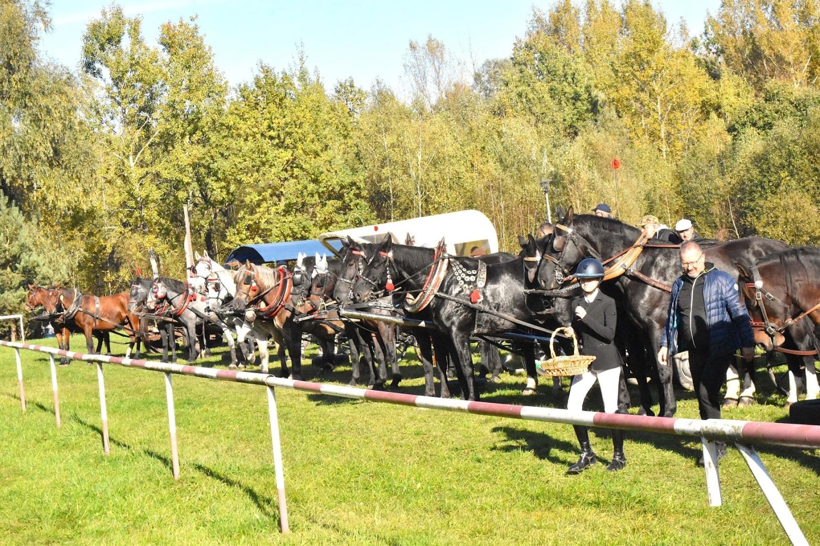 Zdjęcie w galerii na portalu naszwodzislaw.com: Hubertus w Krostoszowicach przyciągnął wielu jeźdźców i widzów. Martyna i Karolina dopadły lisiej kity [FOTO] wiadomości z regionu