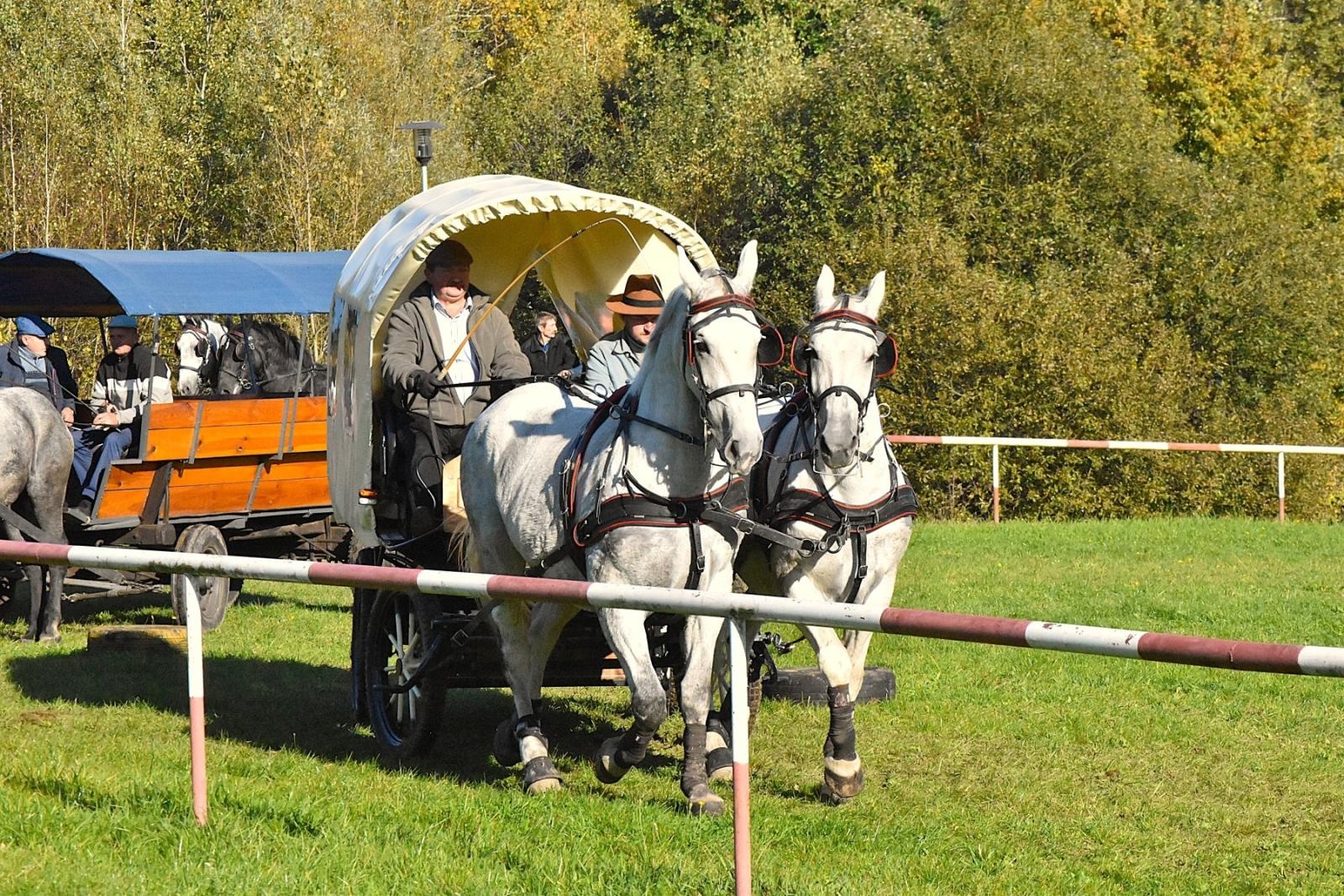Zdjęcie w galerii na portalu naszwodzislaw.com: Hubertus w Krostoszowicach przyciągnął wielu jeźdźców i widzów. Martyna i Karolina dopadły lisiej kity [FOTO] wiadomości z regionu
