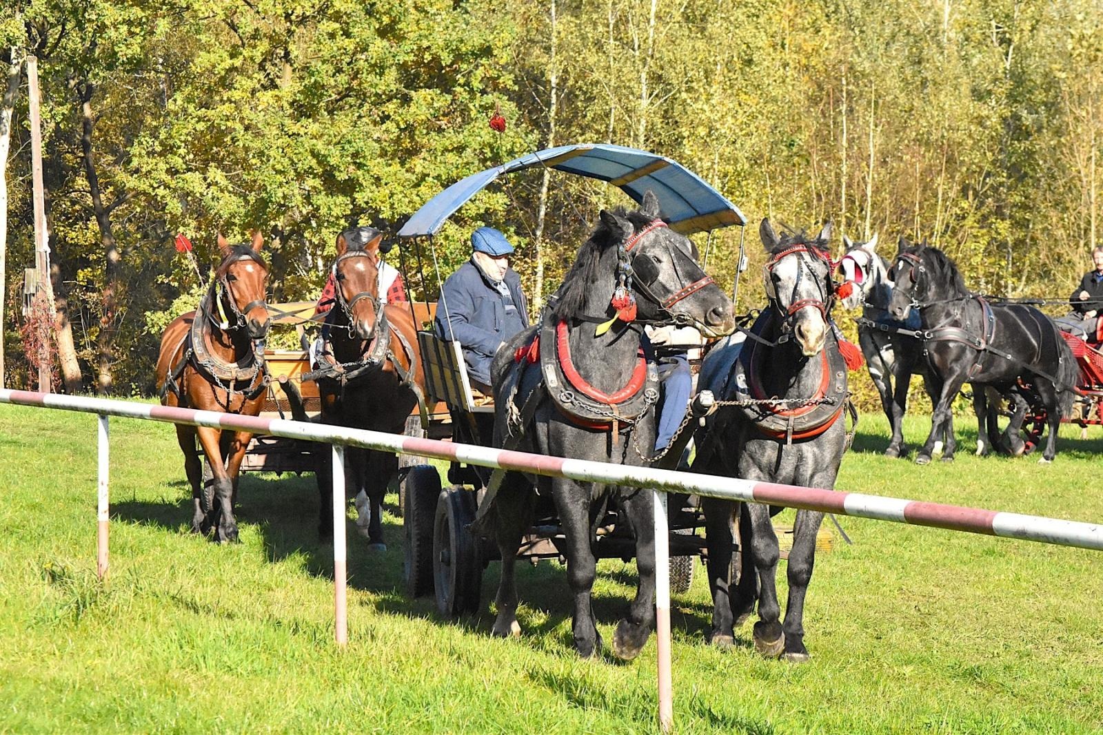 Zdjęcie w galerii na portalu naszwodzislaw.com: Hubertus w Krostoszowicach przyciągnął wielu jeźdźców i widzów. Martyna i Karolina dopadły lisiej kity [FOTO] wiadomości z regionu