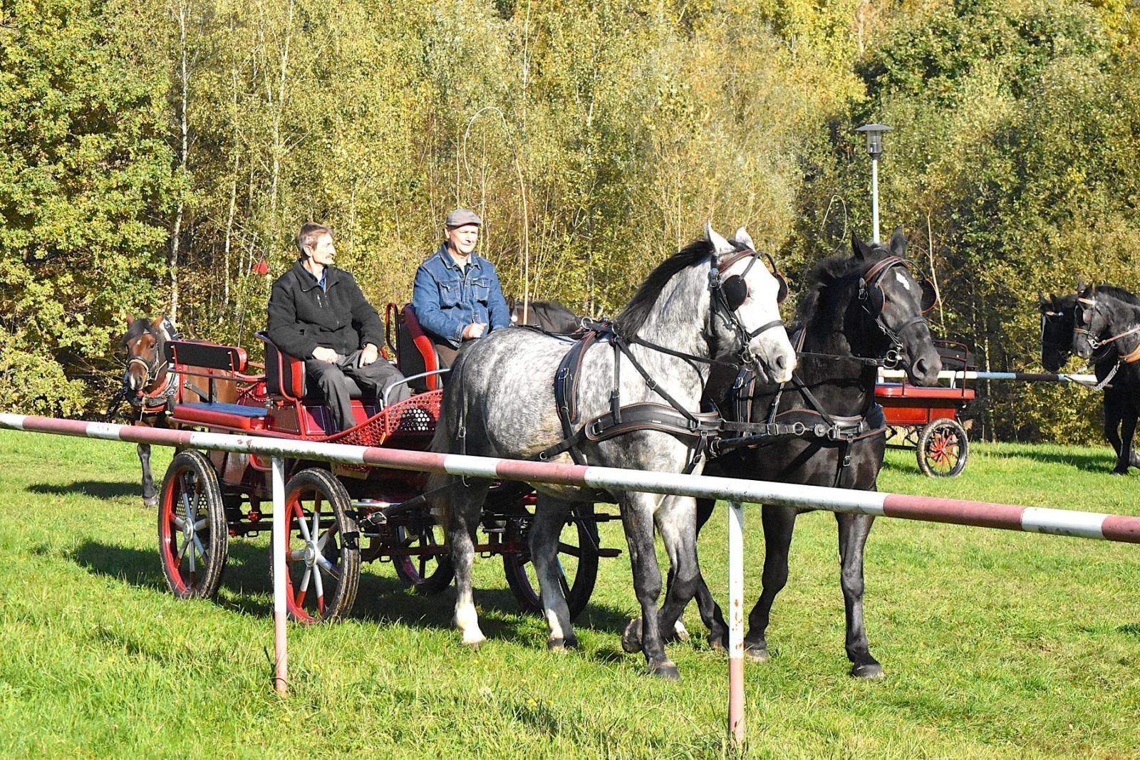 Zdjęcie w galerii na portalu naszwodzislaw.com: Hubertus w Krostoszowicach przyciągnął wielu jeźdźców i widzów. Martyna i Karolina dopadły lisiej kity [FOTO] wiadomości z regionu