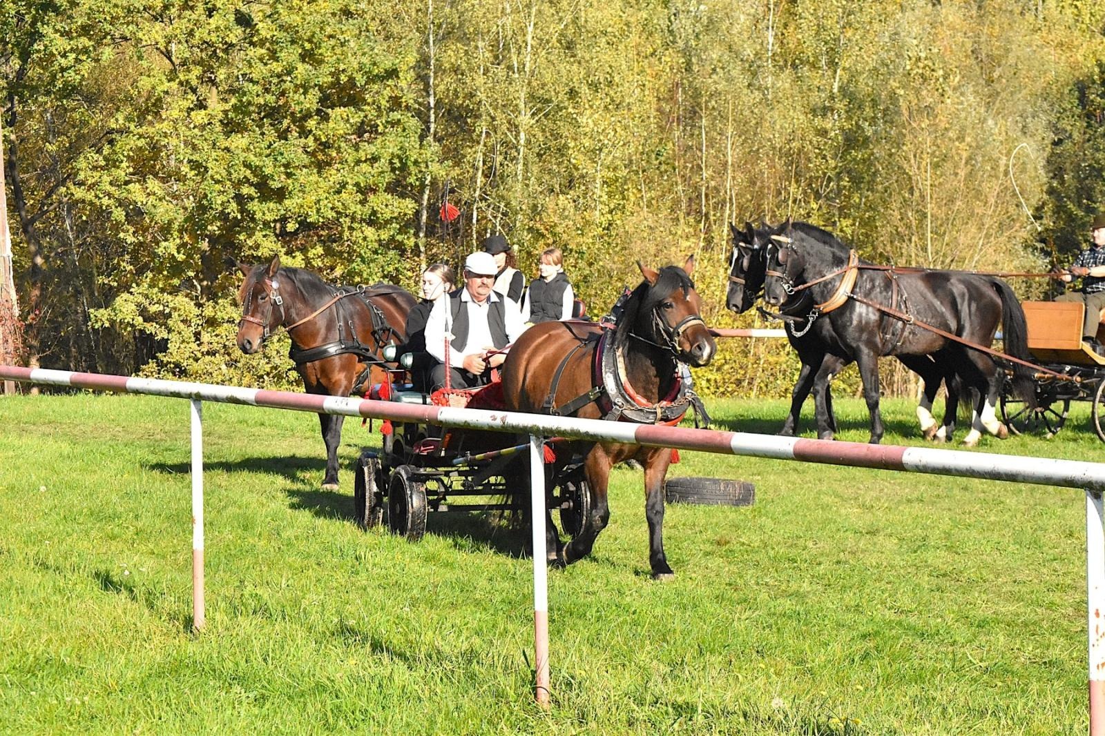 Zdjęcie w galerii na portalu naszwodzislaw.com: Hubertus w Krostoszowicach przyciągnął wielu jeźdźców i widzów. Martyna i Karolina dopadły lisiej kity [FOTO] wiadomości z regionu