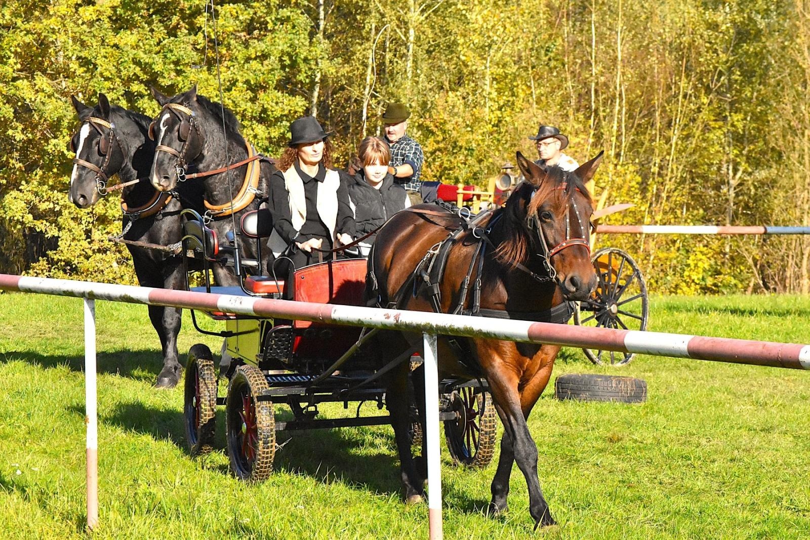 Zdjęcie w galerii na portalu naszwodzislaw.com: Hubertus w Krostoszowicach przyciągnął wielu jeźdźców i widzów. Martyna i Karolina dopadły lisiej kity [FOTO] wiadomości z regionu