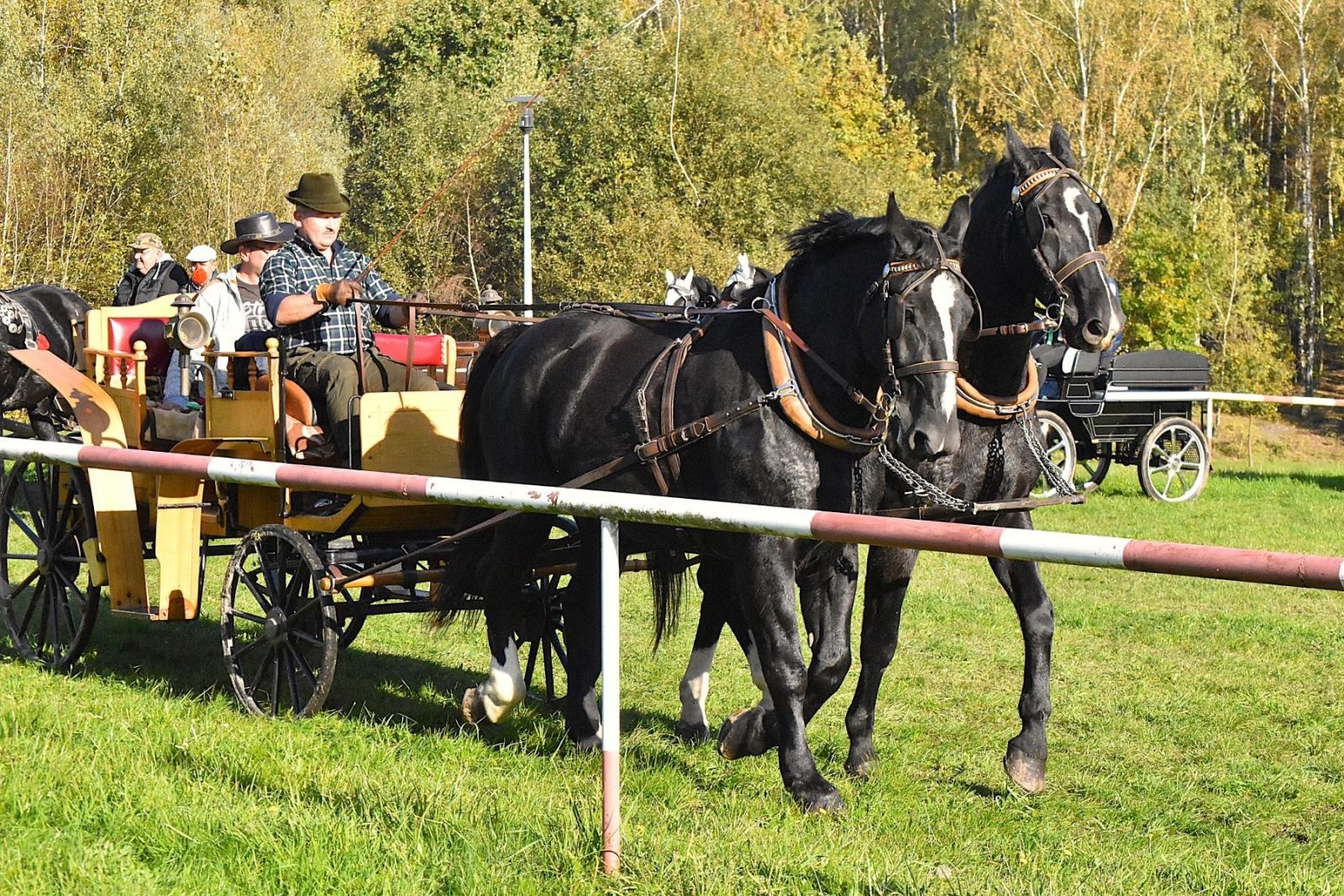 Zdjęcie w galerii na portalu naszwodzislaw.com: Hubertus w Krostoszowicach przyciągnął wielu jeźdźców i widzów. Martyna i Karolina dopadły lisiej kity [FOTO] wiadomości z regionu