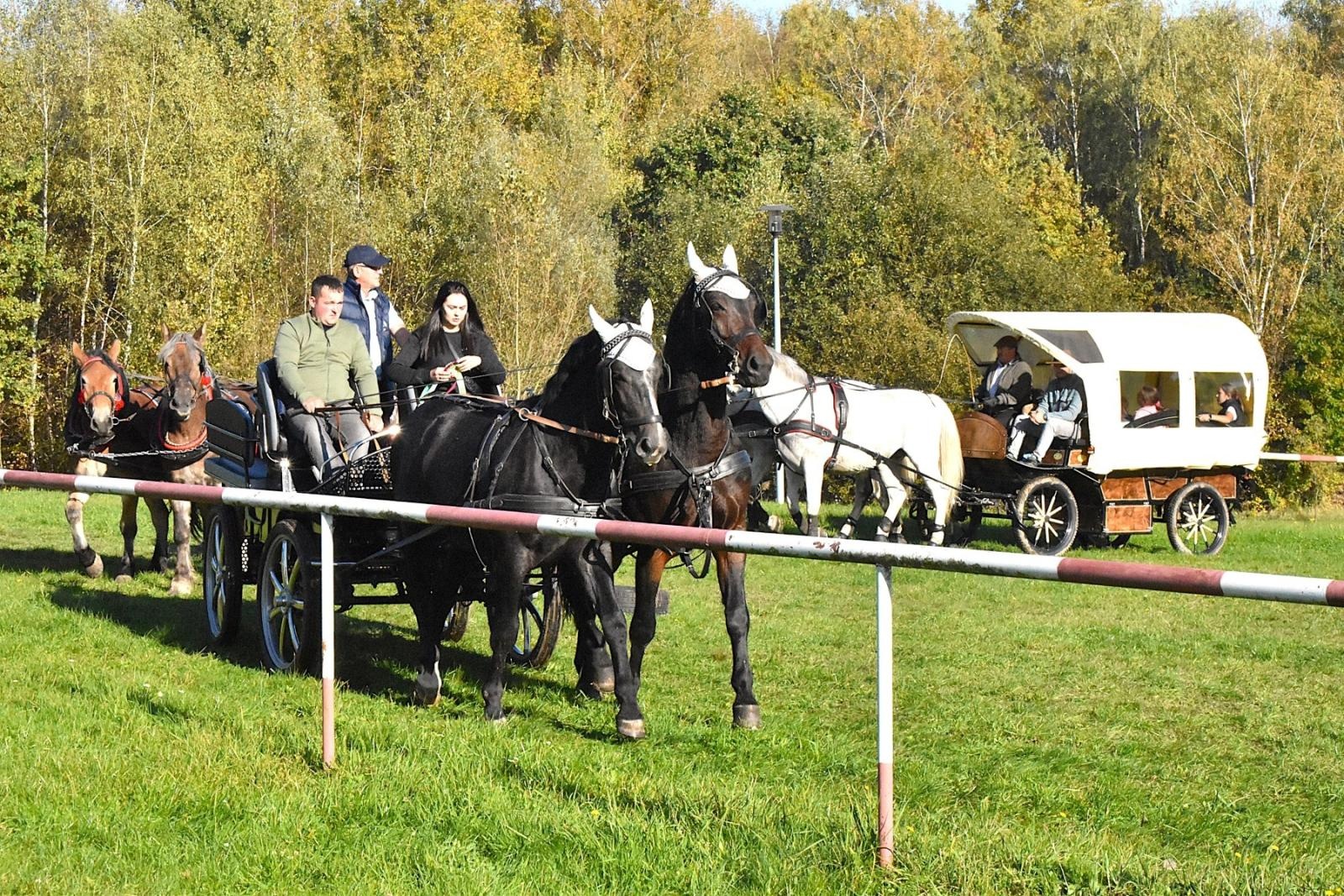 Zdjęcie w galerii na portalu naszwodzislaw.com: Hubertus w Krostoszowicach przyciągnął wielu jeźdźców i widzów. Martyna i Karolina dopadły lisiej kity [FOTO] wiadomości z regionu