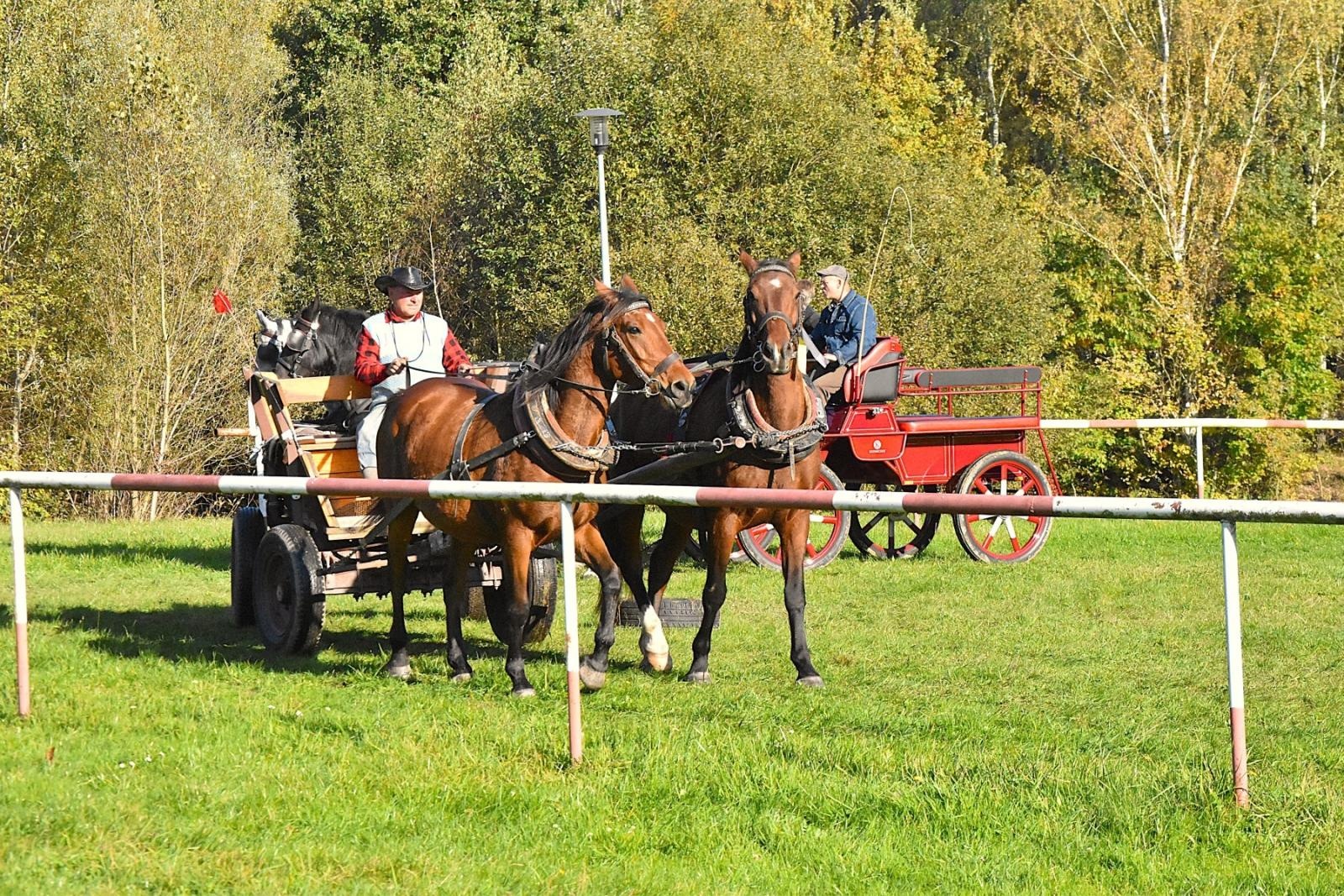 Zdjęcie w galerii na portalu naszwodzislaw.com: Hubertus w Krostoszowicach przyciągnął wielu jeźdźców i widzów. Martyna i Karolina dopadły lisiej kity [FOTO] wiadomości z regionu