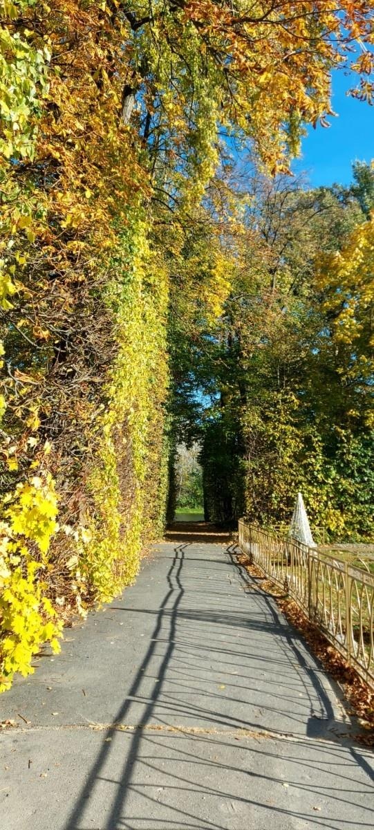 Zdjęcie w galerii na portalu naszwodzislaw.com: Podróż z klasą uczniów ze Skrbeńska do Warszawy wiadomości z regionu