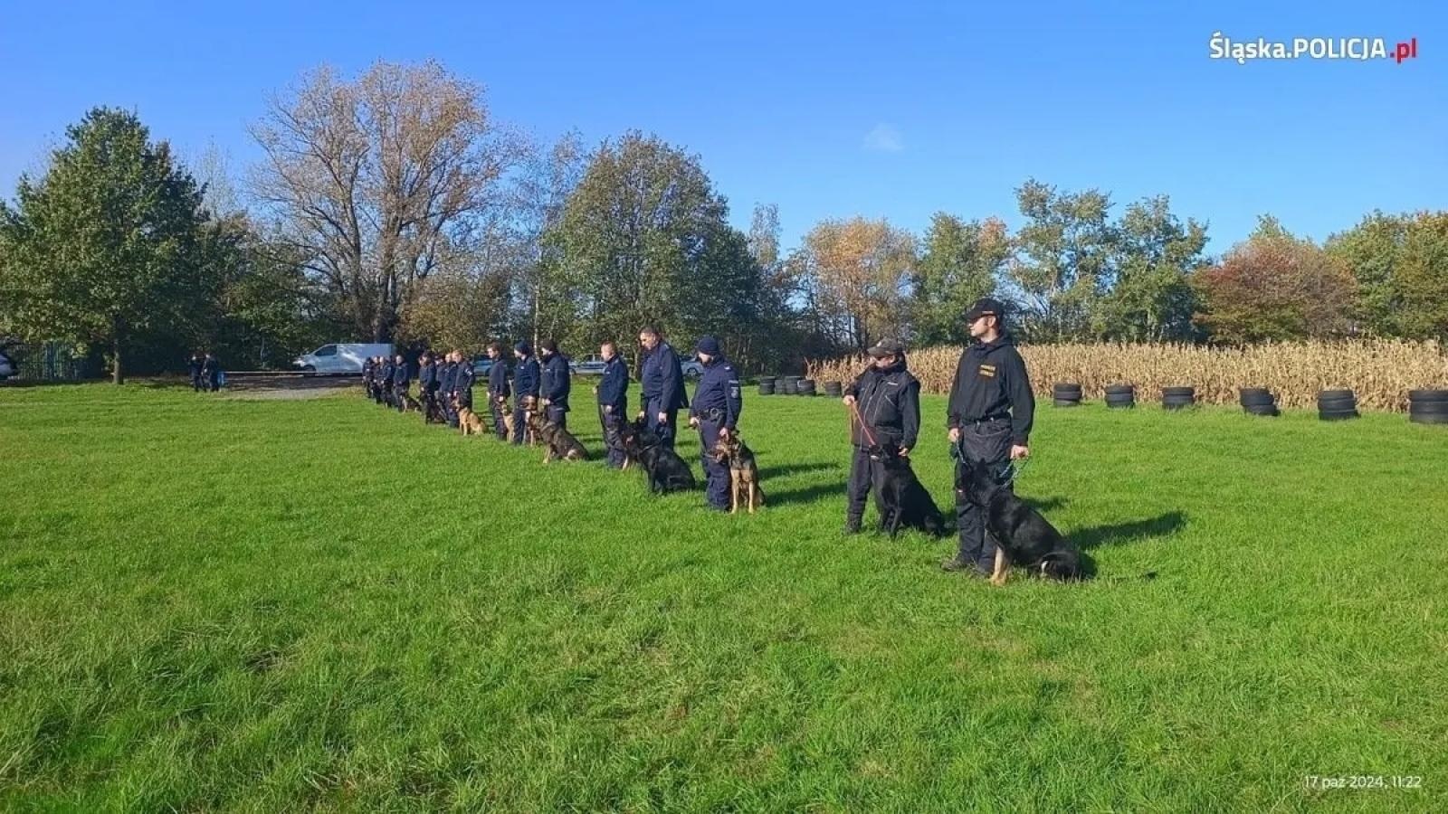 Zdjęcie w galerii na portalu naszwodzislaw.com: Warsztaty szkoleniowe z czeskimi policjantami w ramach polsko-czeskiej współpracy kynologicznej wiadomości z regionu
