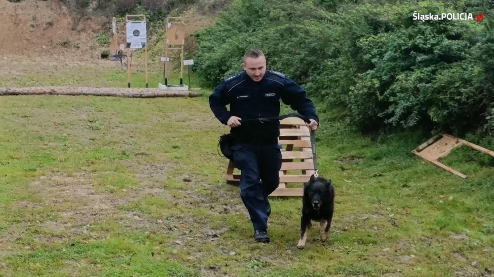 Zdjęcie w galerii na portalu naszwodzislaw.com: Warsztaty szkoleniowe z czeskimi policjantami w ramach polsko-czeskiej współpracy kynologicznej wiadomości z regionu