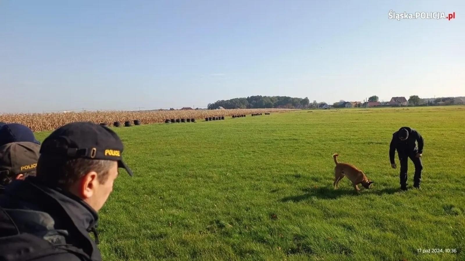 Zdjęcie w galerii na portalu naszwodzislaw.com: Warsztaty szkoleniowe z czeskimi policjantami w ramach polsko-czeskiej współpracy kynologicznej wiadomości z regionu