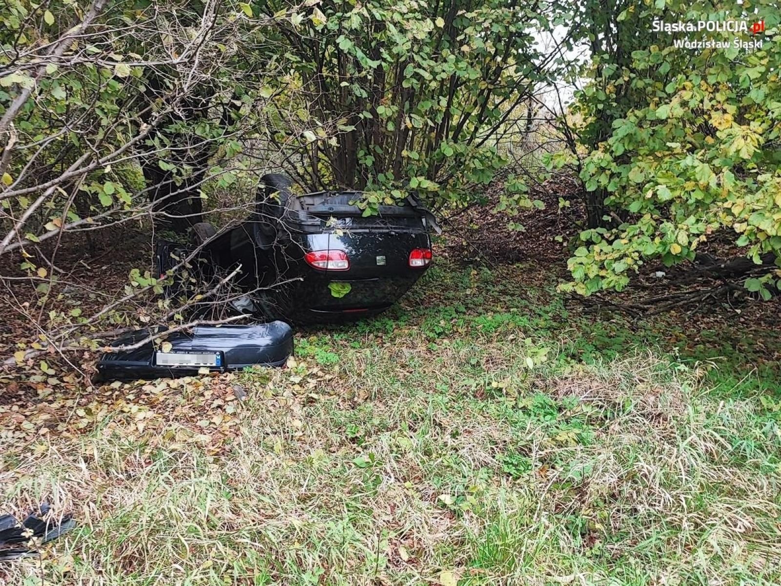 Zdjęcie w galerii na portalu naszwodzislaw.com: Ciężka noga 18-latka. Podróż zakończył w zaroślach [KOMUNIKAT KPP] wiadomości z regionu