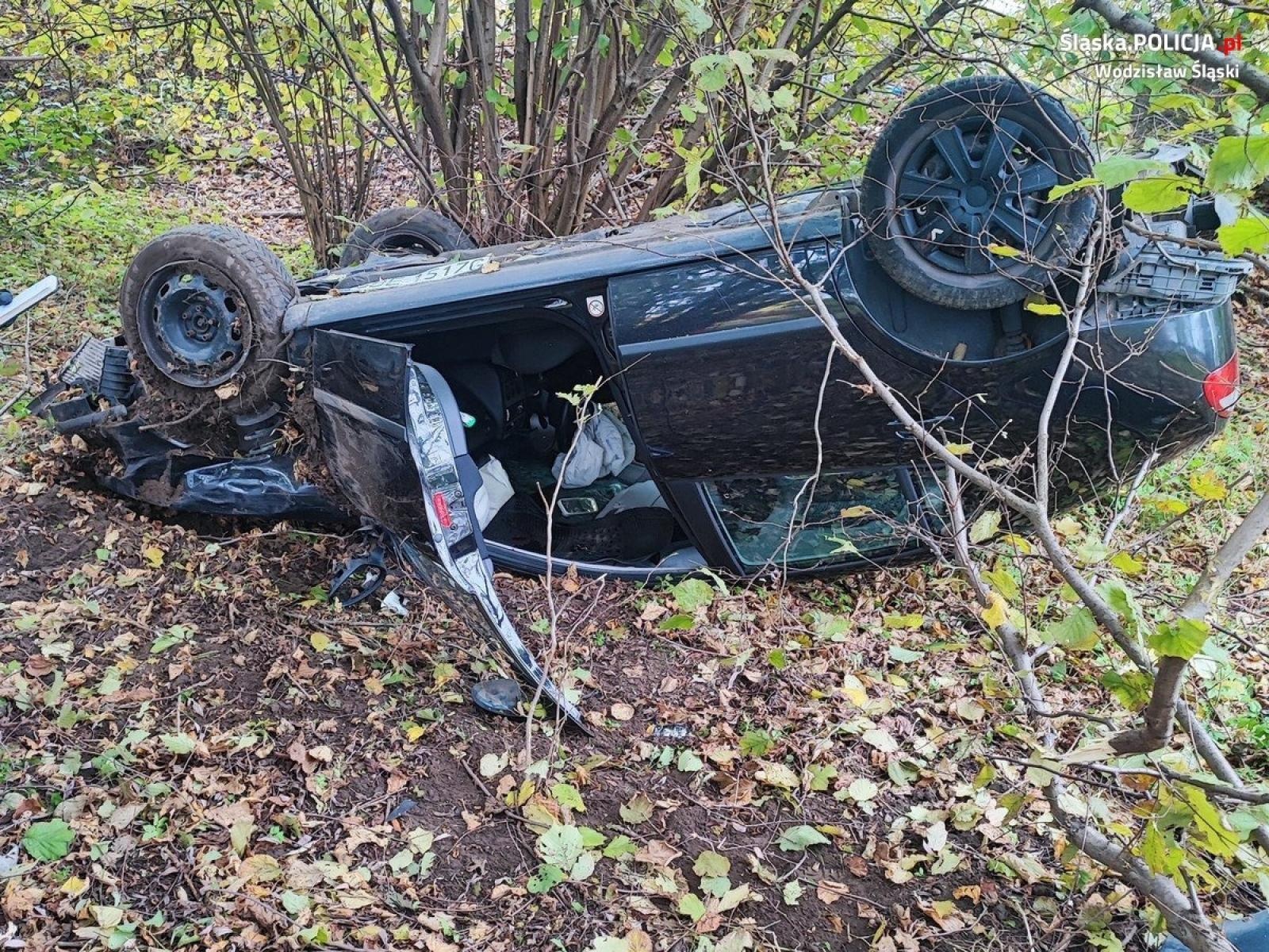 Zdjęcie w galerii na portalu naszwodzislaw.com: Ciężka noga 18-latka. Podróż zakończył w zaroślach [KOMUNIKAT KPP] wiadomości z regionu