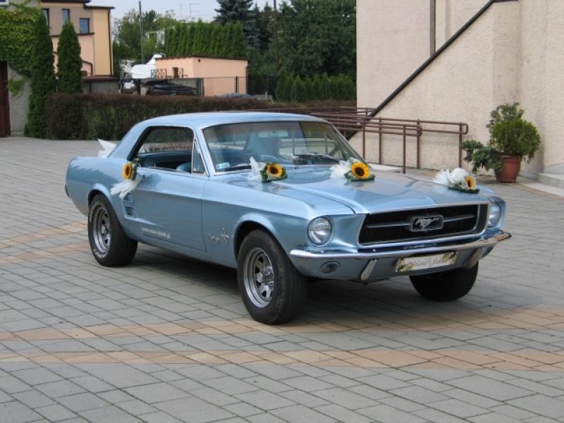 Zdjęcie w galerii na portalu naszwodzislaw.com: Do ślubu modnym pojazdem wiadomości z regionu