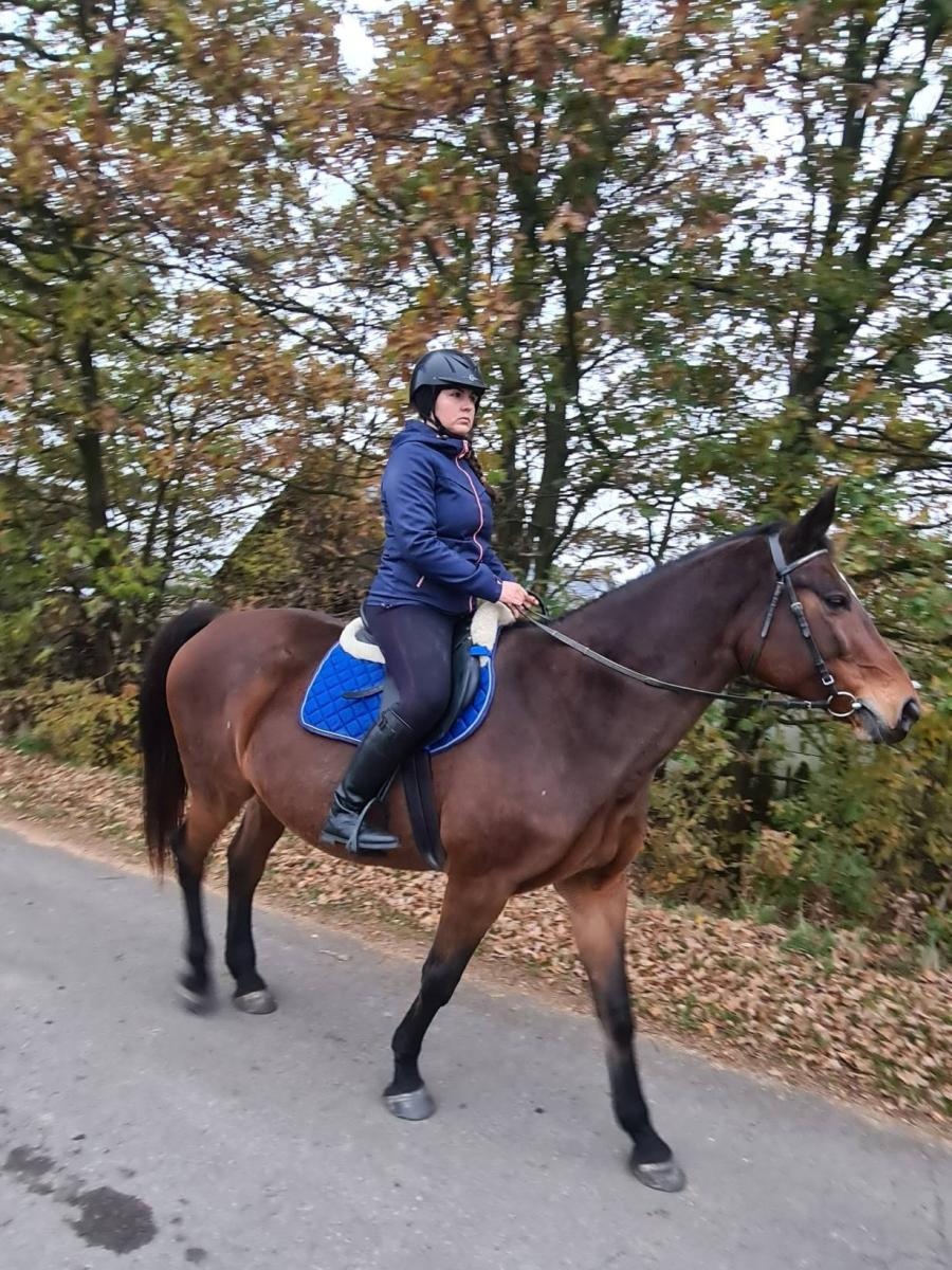 Zdjęcie w galerii na portalu naszwodzislaw.com: Święty Marcin na Stawach w Bełsznicy [FOTO] wiadomości z regionu