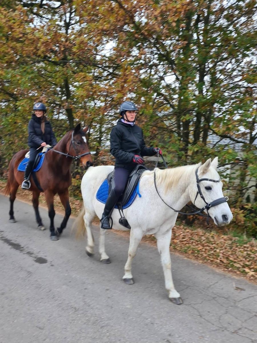 Zdjęcie w galerii na portalu naszwodzislaw.com: Święty Marcin na Stawach w Bełsznicy [FOTO] wiadomości z regionu
