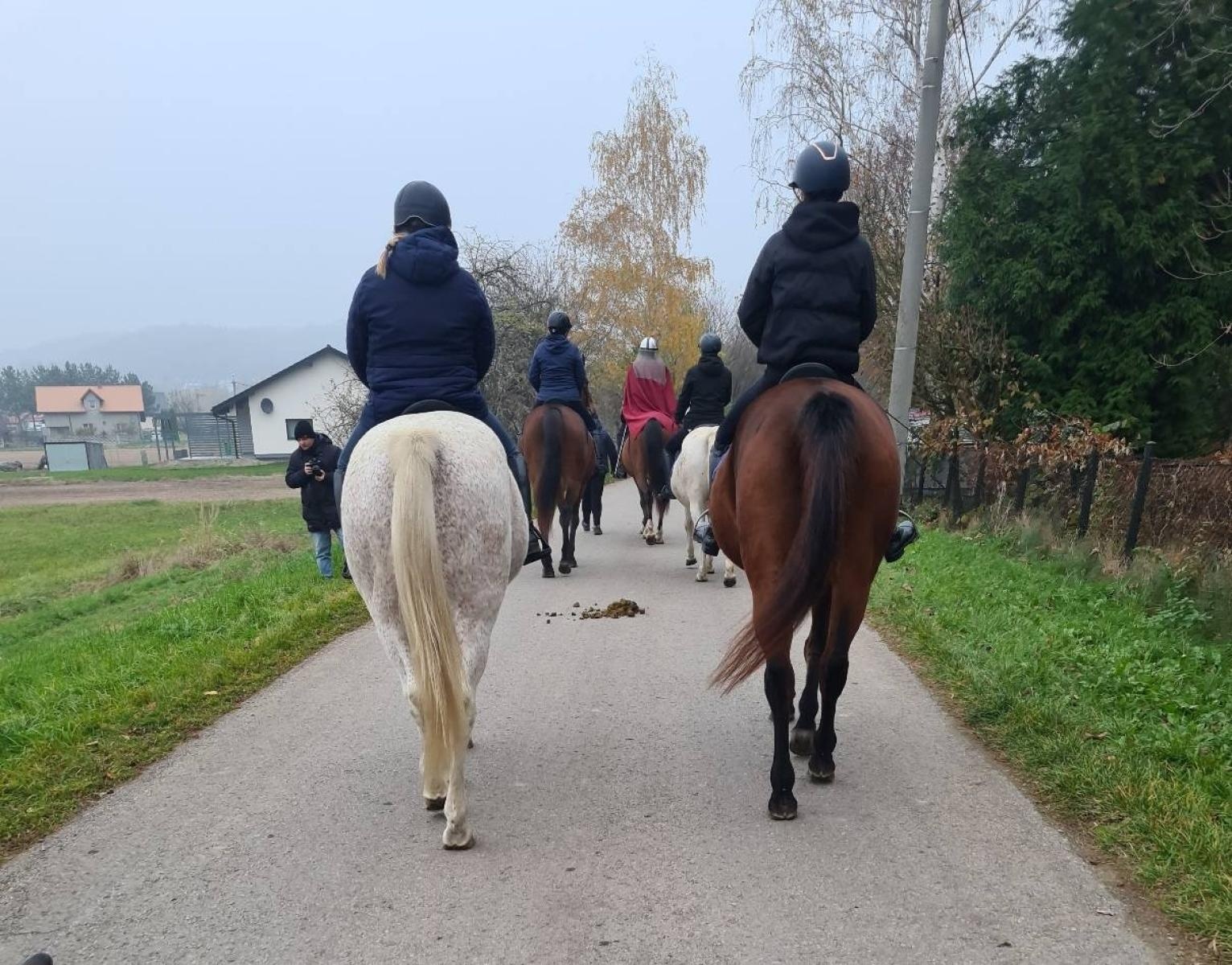 Zdjęcie w galerii na portalu naszwodzislaw.com: Święty Marcin na Stawach w Bełsznicy [FOTO] wiadomości z regionu