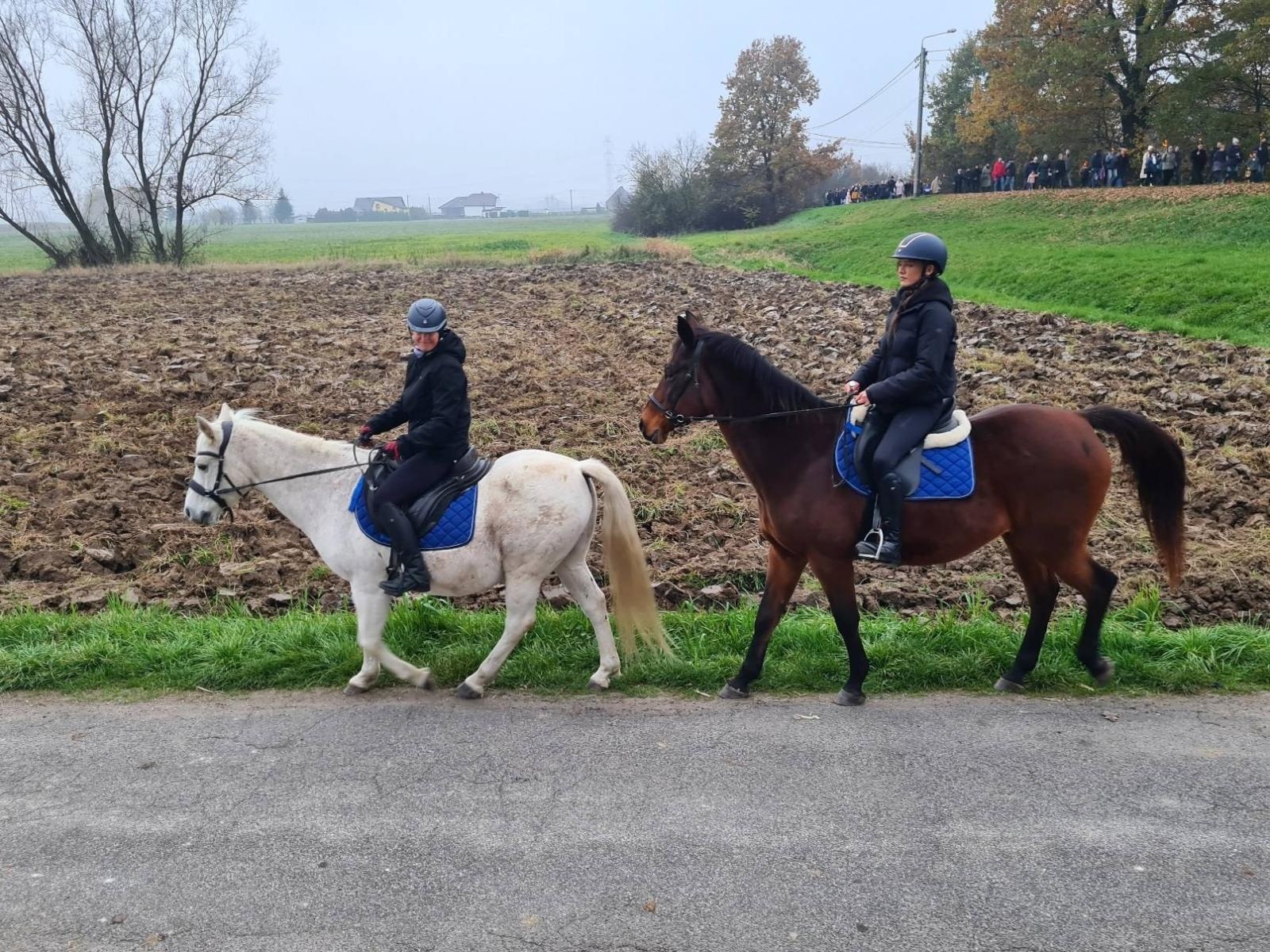 Zdjęcie w galerii na portalu naszwodzislaw.com: Święty Marcin na Stawach w Bełsznicy [FOTO] wiadomości z regionu