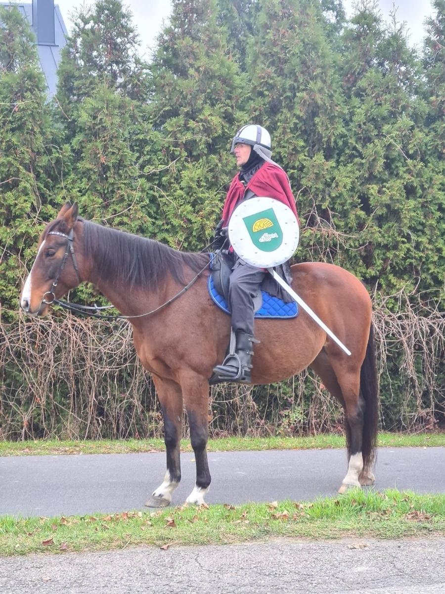 Zdjęcie w galerii na portalu naszwodzislaw.com: Święty Marcin na Stawach w Bełsznicy [FOTO] wiadomości z regionu