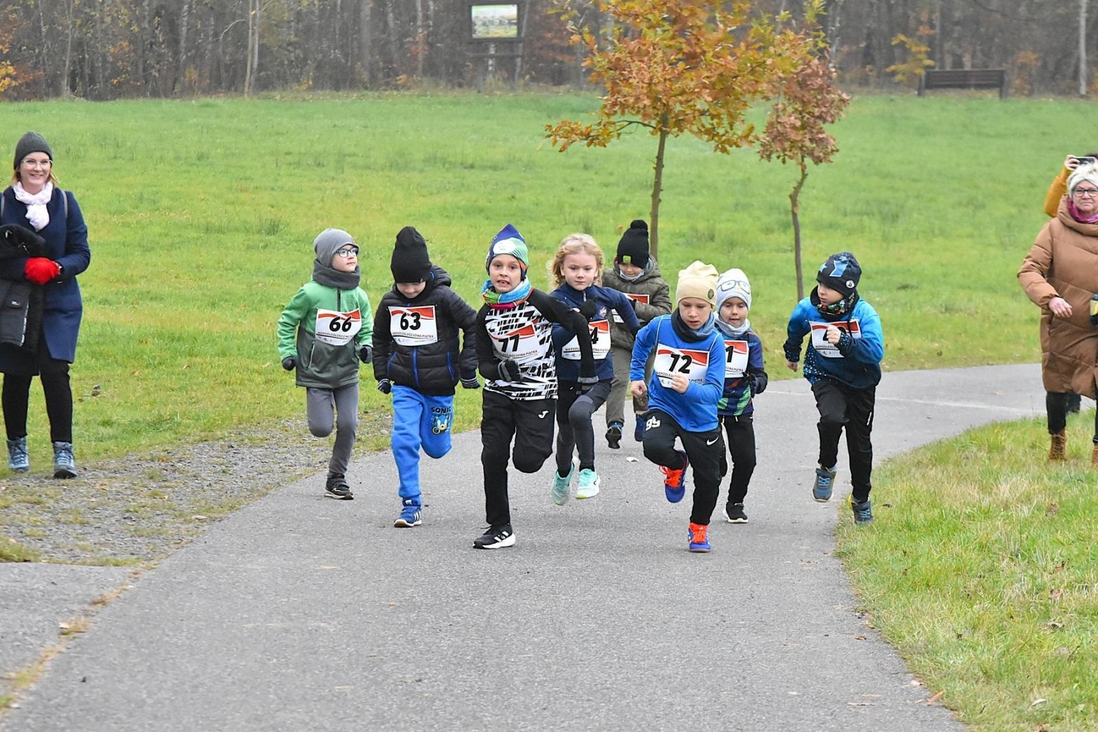 Zdjęcie w galerii na portalu naszwodzislaw.com: Niepodległościowa Piątka w biało-czerwonych barwach w Krostoszowicach [FOTO] wiadomości z regionu
