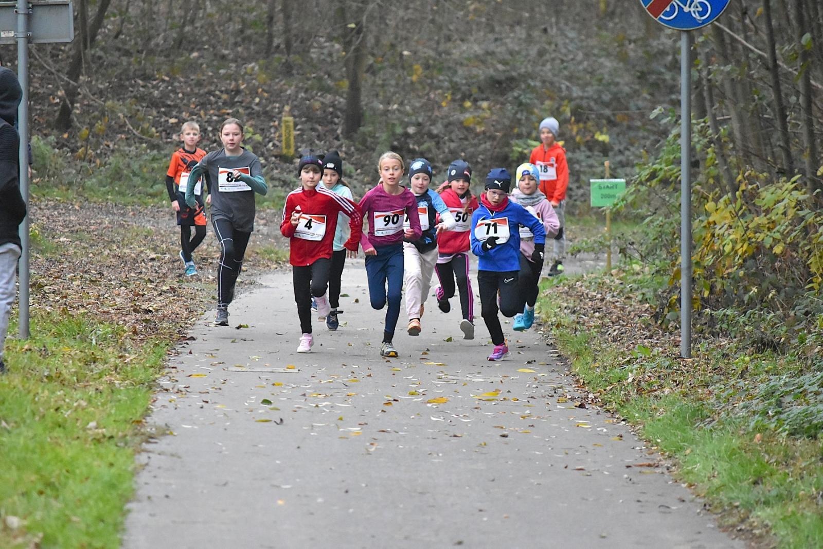 Zdjęcie w galerii na portalu naszwodzislaw.com: Niepodległościowa Piątka w biało-czerwonych barwach w Krostoszowicach [FOTO] wiadomości z regionu