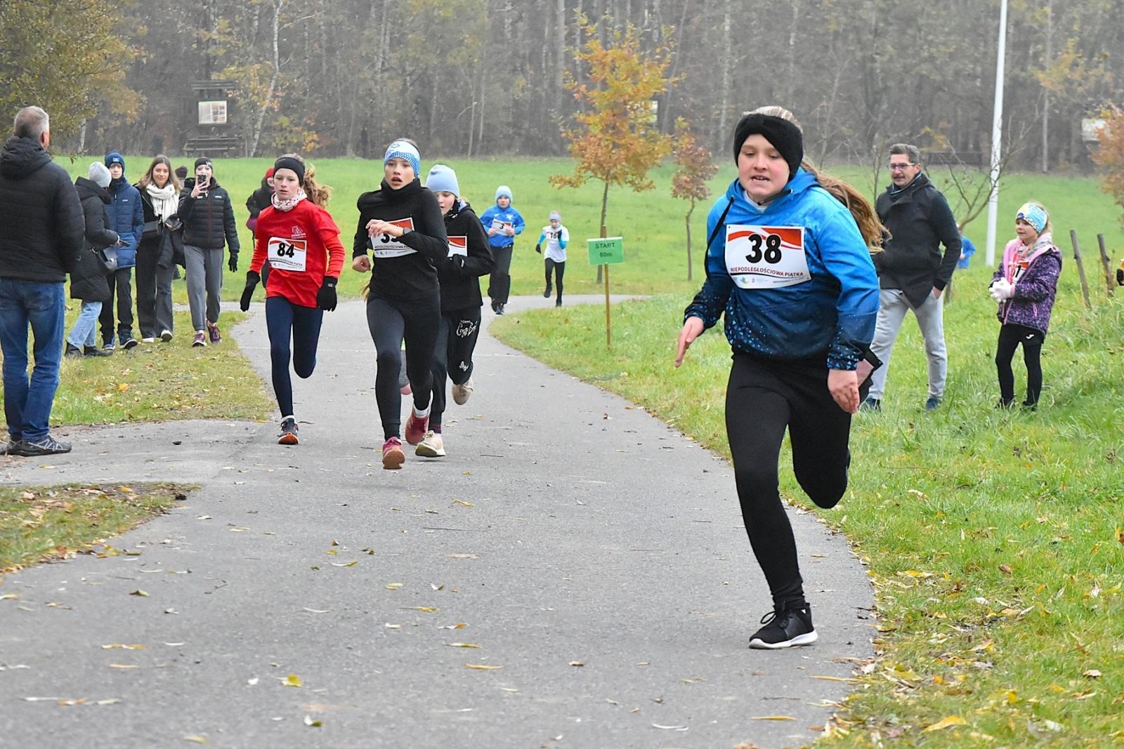 Zdjęcie w galerii na portalu naszwodzislaw.com: Niepodległościowa Piątka w biało-czerwonych barwach w Krostoszowicach [FOTO] wiadomości z regionu