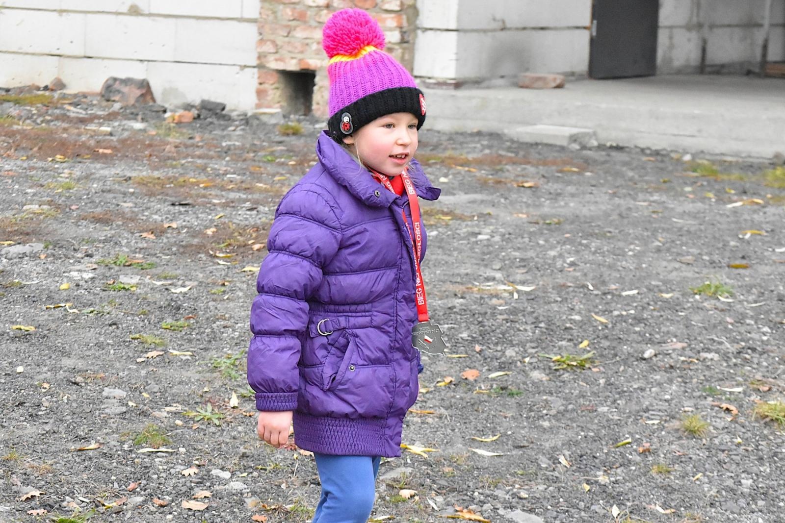 Zdjęcie w galerii na portalu naszwodzislaw.com: Niepodległościowa Piątka w biało-czerwonych barwach w Krostoszowicach [FOTO] wiadomości z regionu