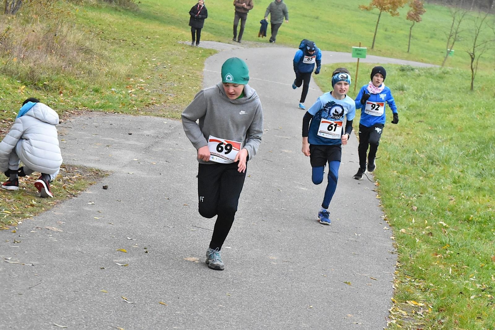 Zdjęcie w galerii na portalu naszwodzislaw.com: Niepodległościowa Piątka w biało-czerwonych barwach w Krostoszowicach [FOTO] wiadomości z regionu