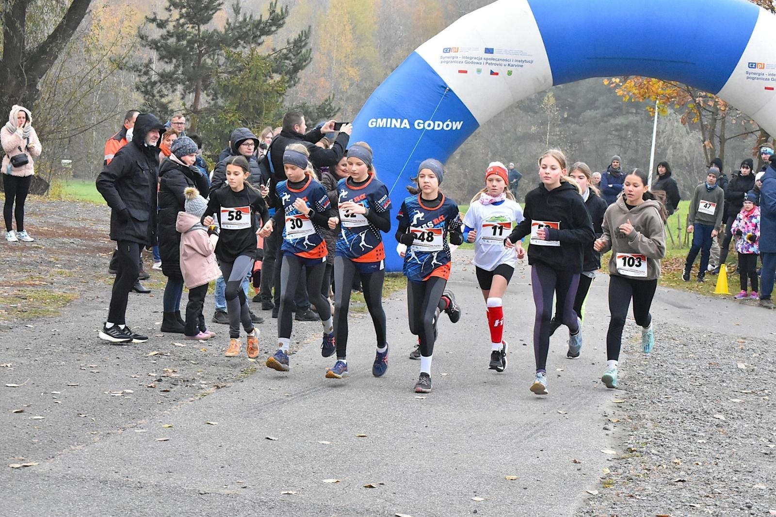 Zdjęcie w galerii na portalu naszwodzislaw.com: Niepodległościowa Piątka w biało-czerwonych barwach w Krostoszowicach [FOTO] wiadomości z regionu