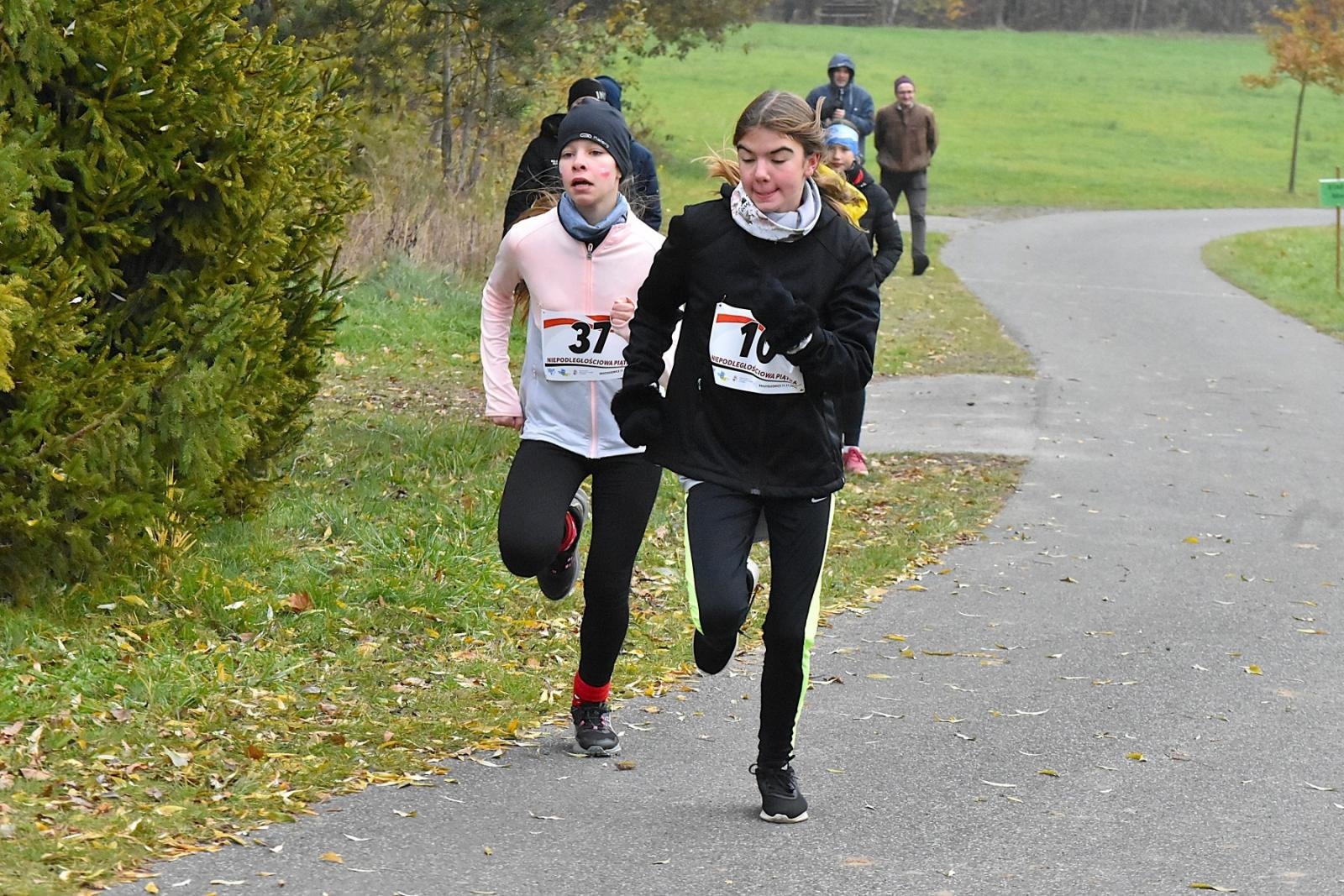 Zdjęcie w galerii na portalu naszwodzislaw.com: Niepodległościowa Piątka w biało-czerwonych barwach w Krostoszowicach [FOTO] wiadomości z regionu