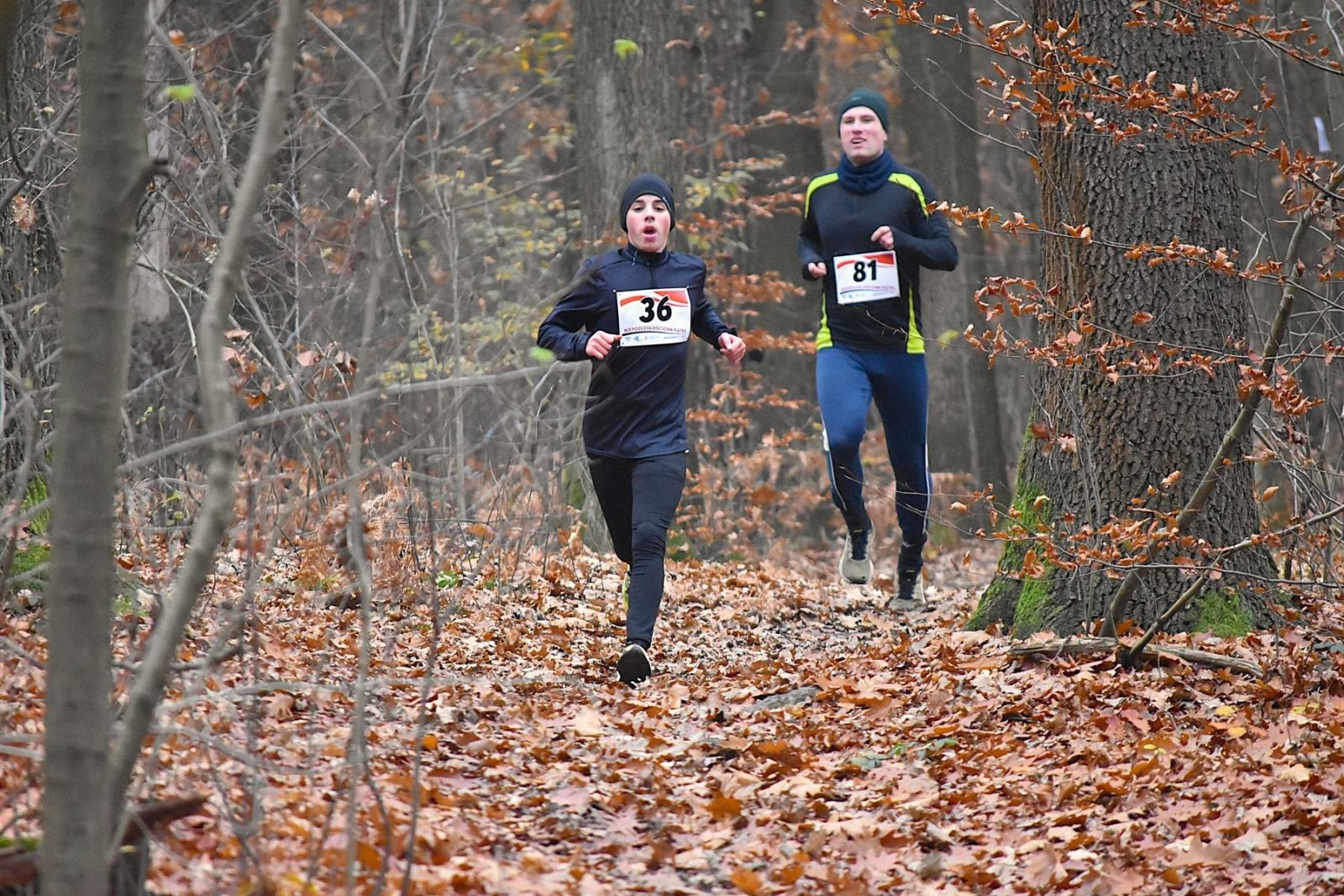 Zdjęcie w galerii na portalu naszwodzislaw.com: Niepodległościowa Piątka w biało-czerwonych barwach w Krostoszowicach [FOTO] wiadomości z regionu