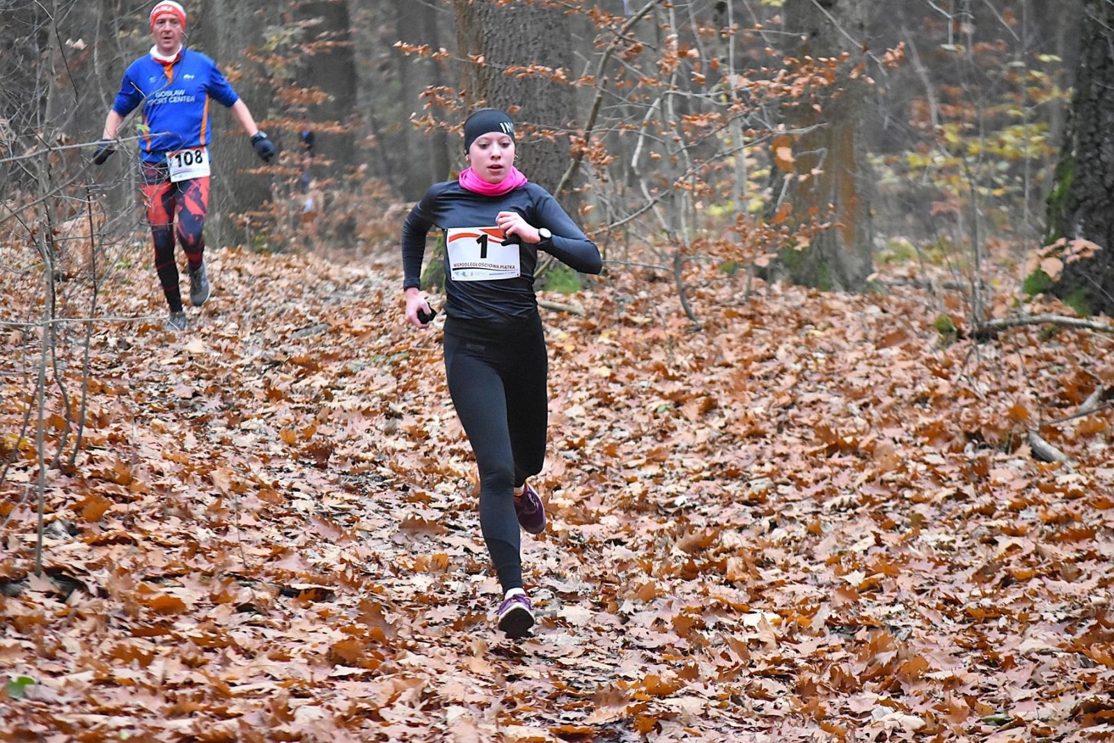 Zdjęcie w galerii na portalu naszwodzislaw.com: Niepodległościowa Piątka w biało-czerwonych barwach w Krostoszowicach [FOTO] wiadomości z regionu
