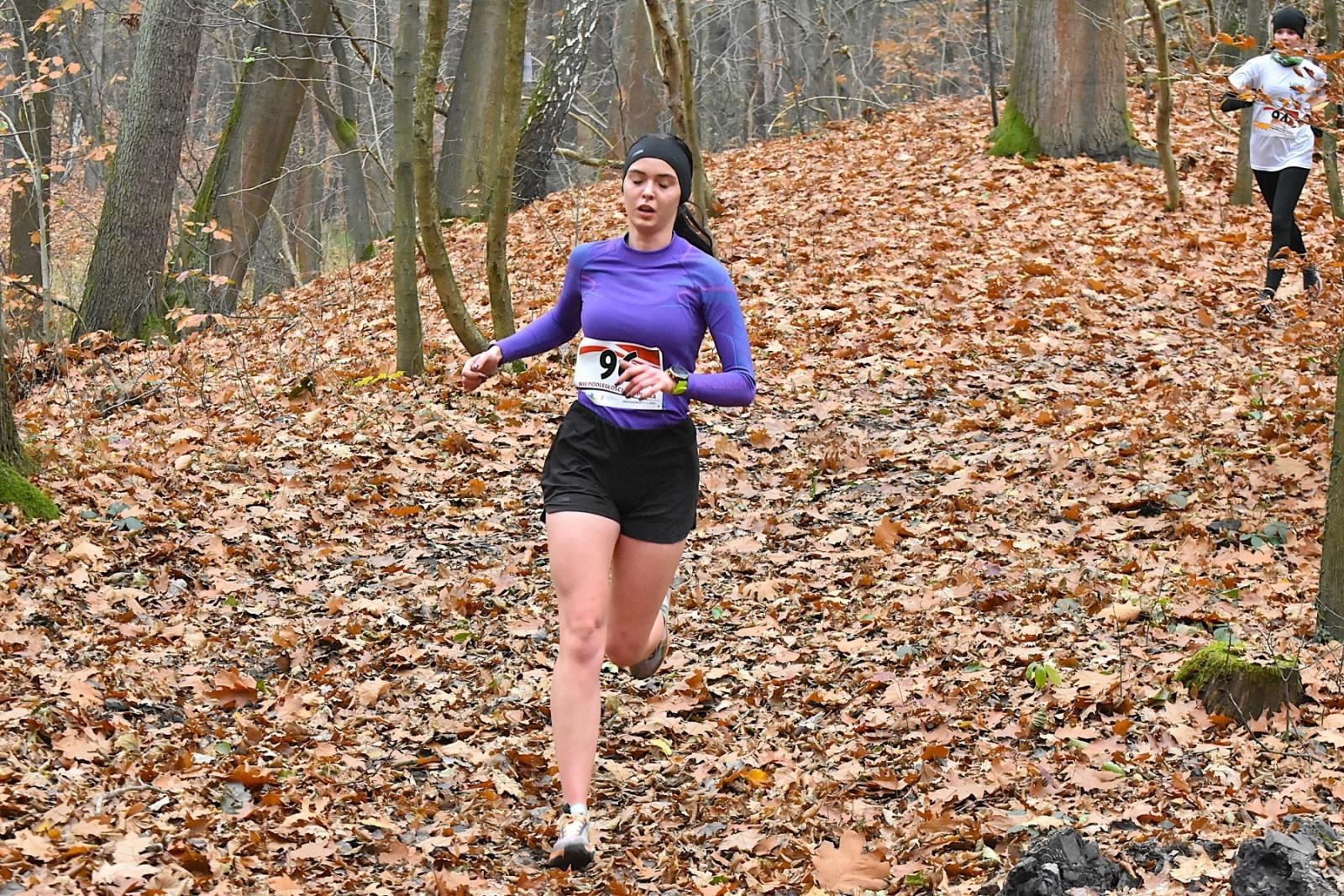 Zdjęcie w galerii na portalu naszwodzislaw.com: Niepodległościowa Piątka w biało-czerwonych barwach w Krostoszowicach [FOTO] wiadomości z regionu