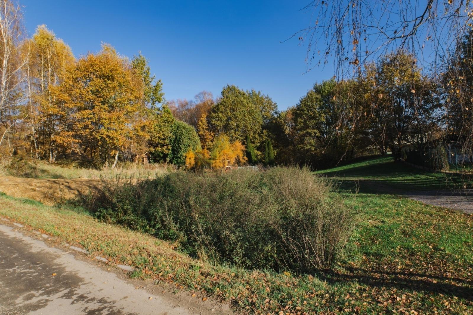 Zdjęcie w galerii na portalu naszwodzislaw.com: Działki na ulicy Głożyńskiej na sprzedaż wiadomości z regionu