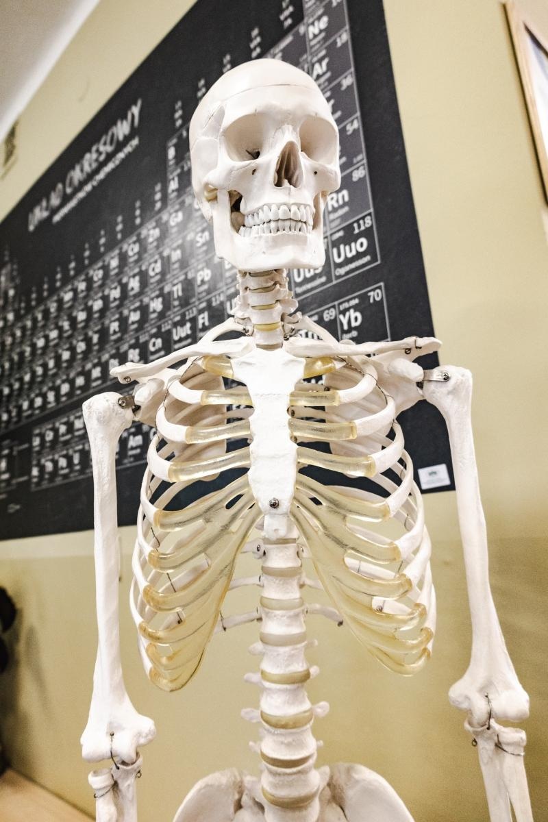 Zdjęcie w galerii na portalu naszwodzislaw.com: W wodzisławskiej SP 2 otwarto Zieloną Pracownię [FOTO] wiadomości z regionu