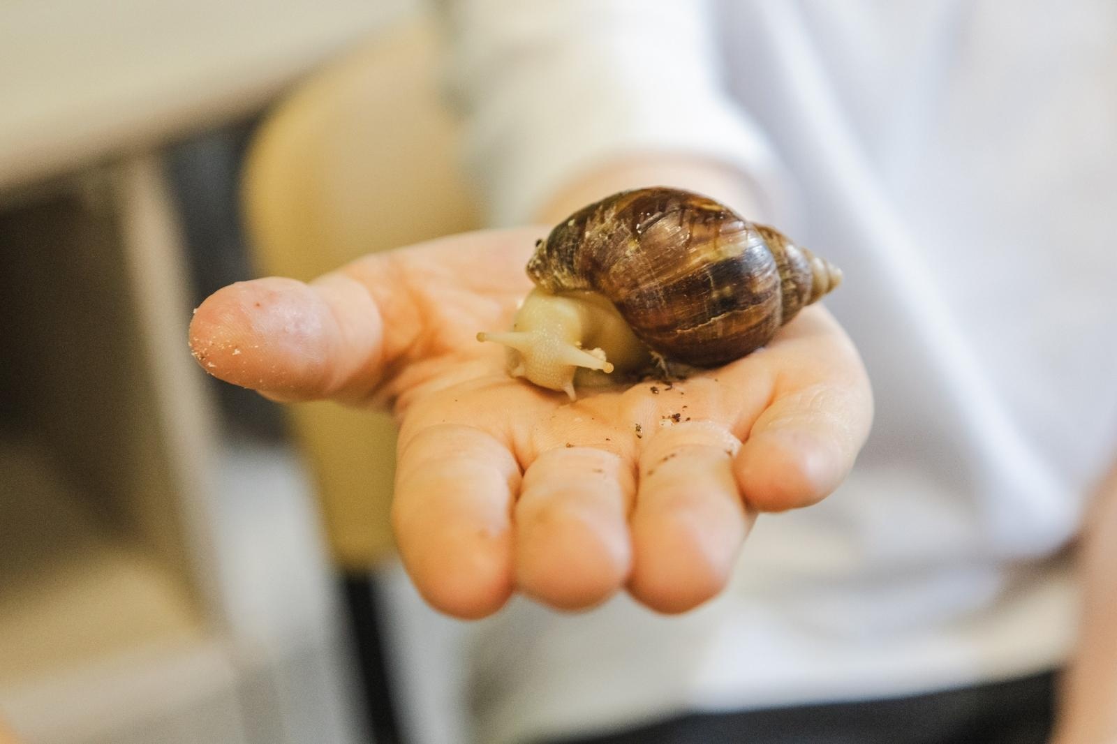 Zdjęcie w galerii na portalu naszwodzislaw.com: W wodzisławskiej SP 2 otwarto Zieloną Pracownię [FOTO] wiadomości z regionu