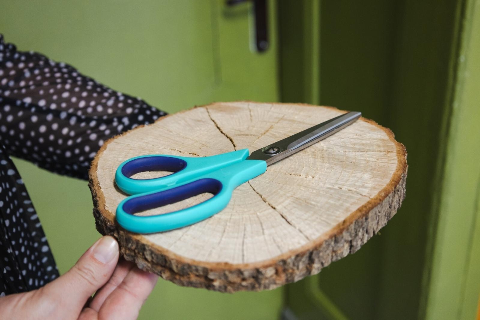 Zdjęcie w galerii na portalu naszwodzislaw.com: W wodzisławskiej SP 2 otwarto Zieloną Pracownię [FOTO] wiadomości z regionu