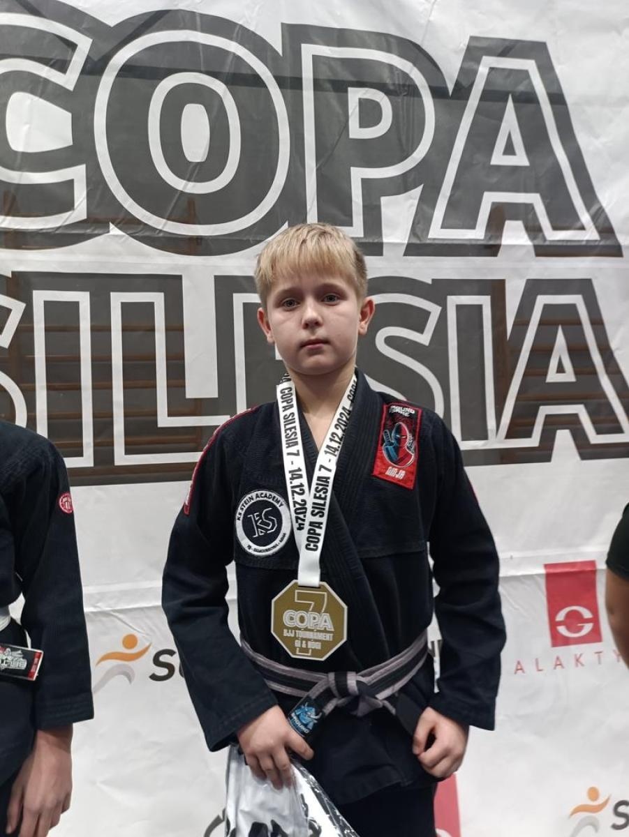 Zdjęcie w galerii na portalu naszwodzislaw.com: Kolejne medale zawodników KS Stein Academy wiadomości z regionu