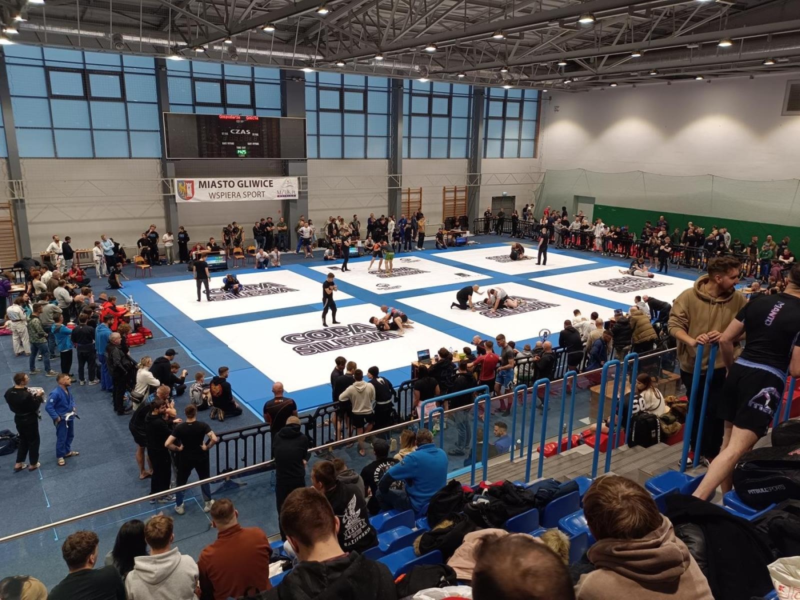 Zdjęcie w galerii na portalu naszwodzislaw.com: Kolejne medale zawodników KS Stein Academy wiadomości z regionu